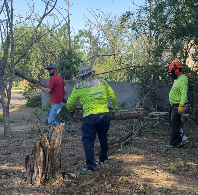 APRIL Community Yard Nights 🌿🌞