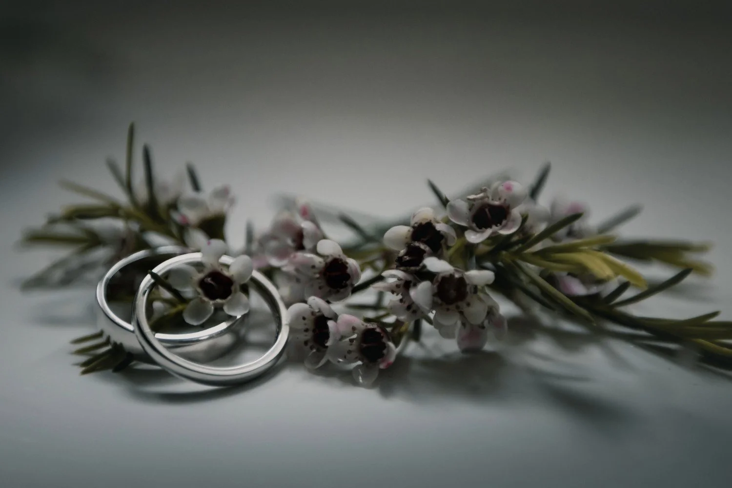 Adobe Express - file (16).jpg