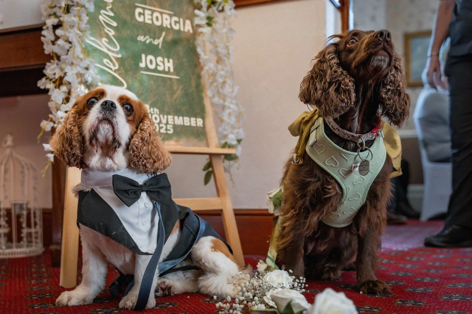 Adobe Express - file.jpg