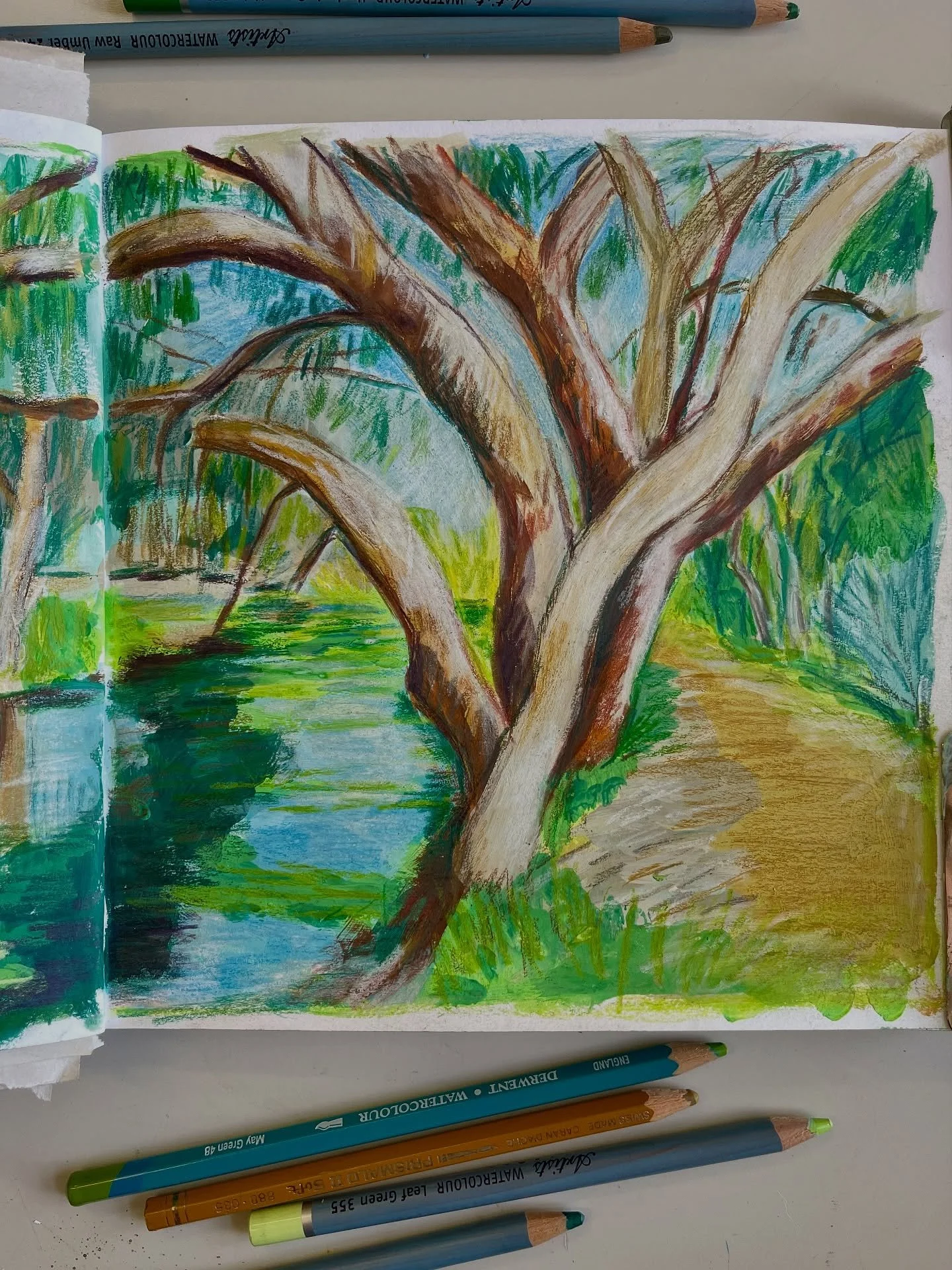 Who doesn&rsquo;t love a bendy tree over the water! I&rsquo;d gone for a lovely long walk and get snapped a few pics, never thinking I would enjoy drawing them!

Started with my gouache paints and quickly switched to my favourite @carandache Luminanc