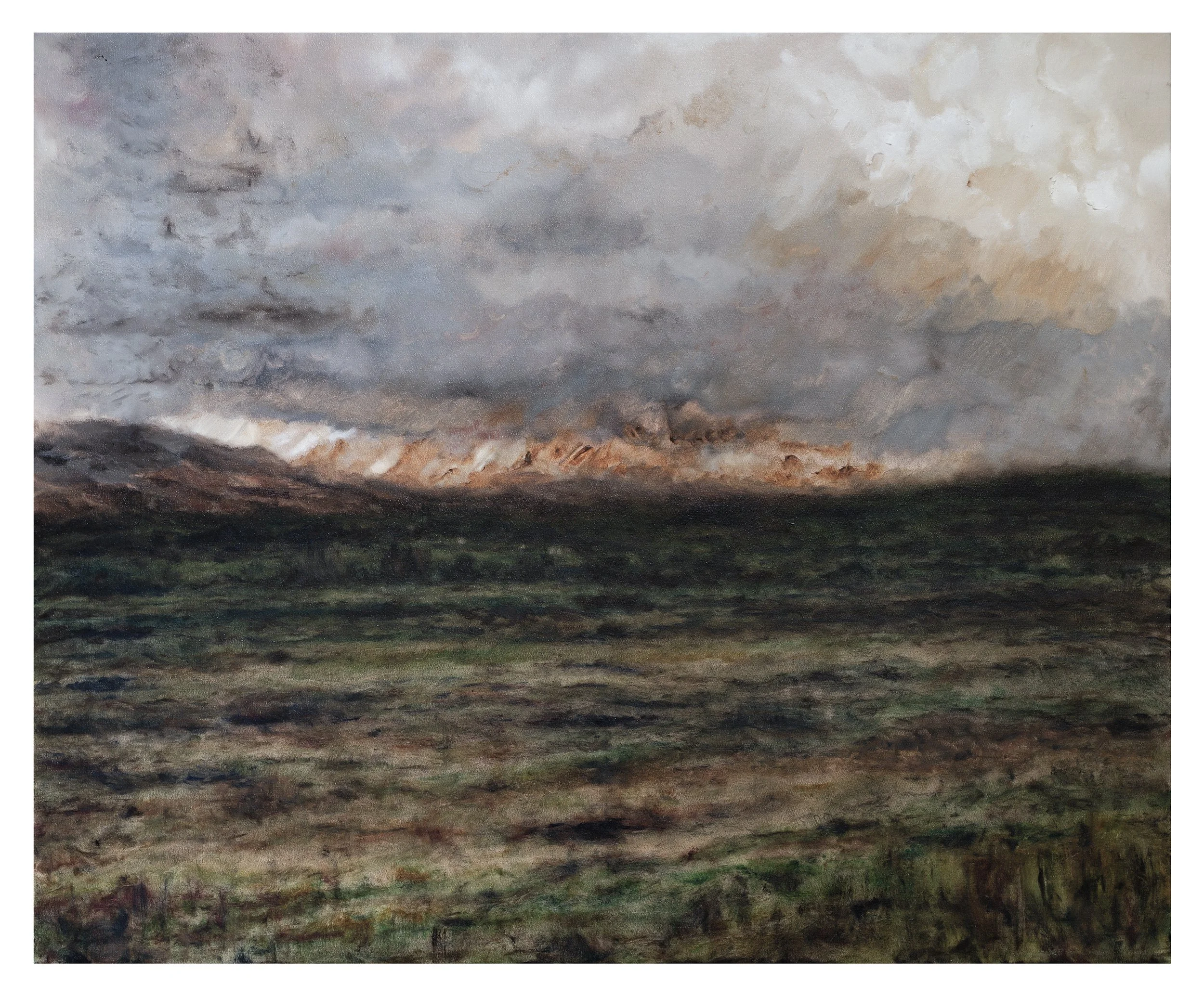 'Noojee', 2025, oil on canvas, 97 x 123 cm