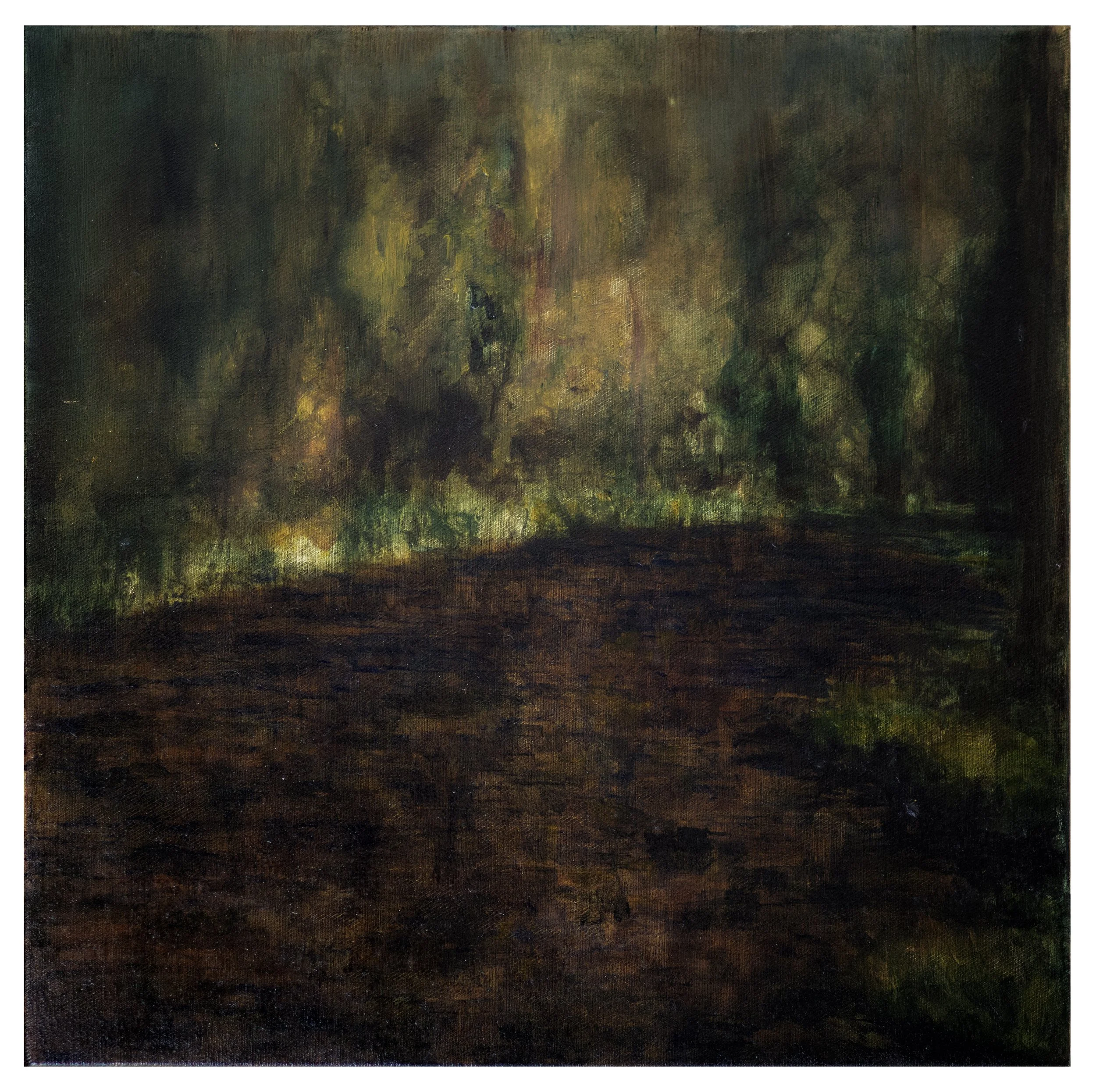 'Creek', oil on canvas, 2026, 50 x 50 cm