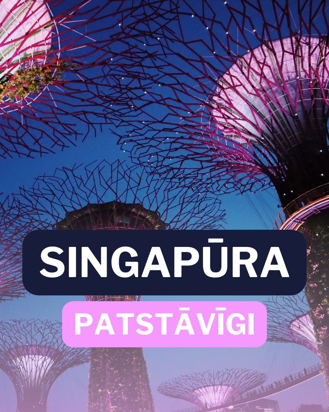 Singapūra produkts.jpg