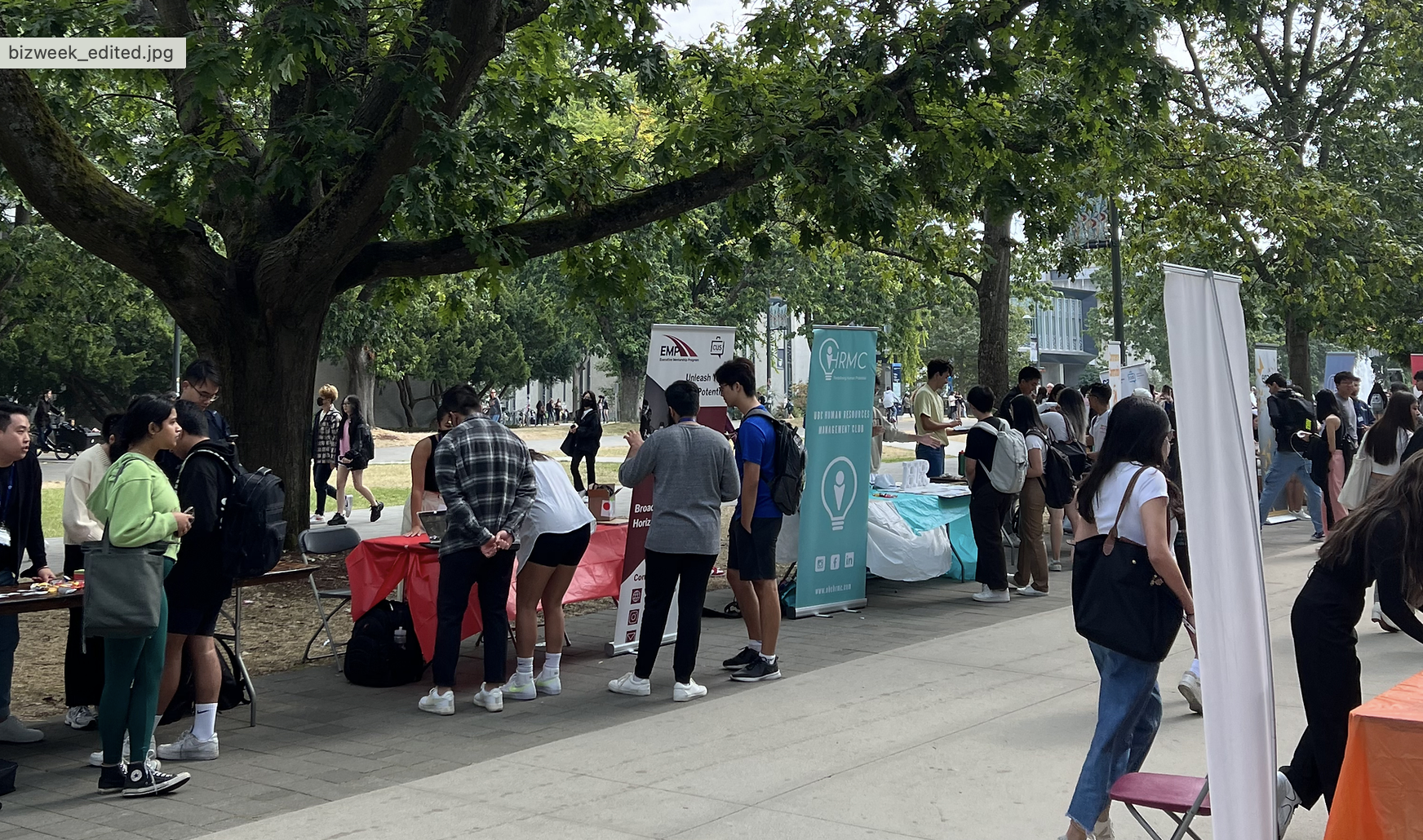 Screenshot 2024-08-13 at 7.53.39 PM.png