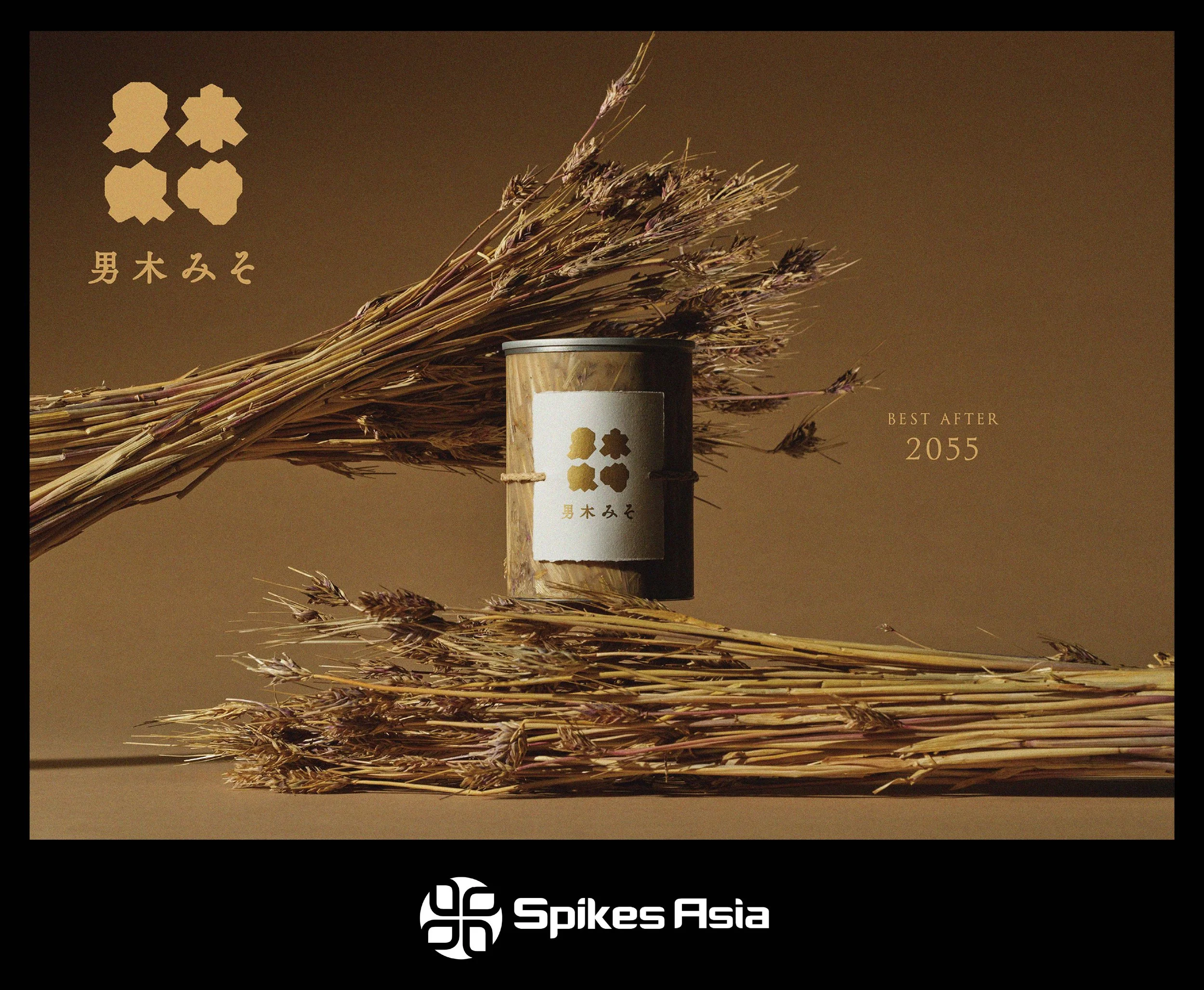 「Spikes Asia 2026」でグランプリを含む2つの賞を受賞