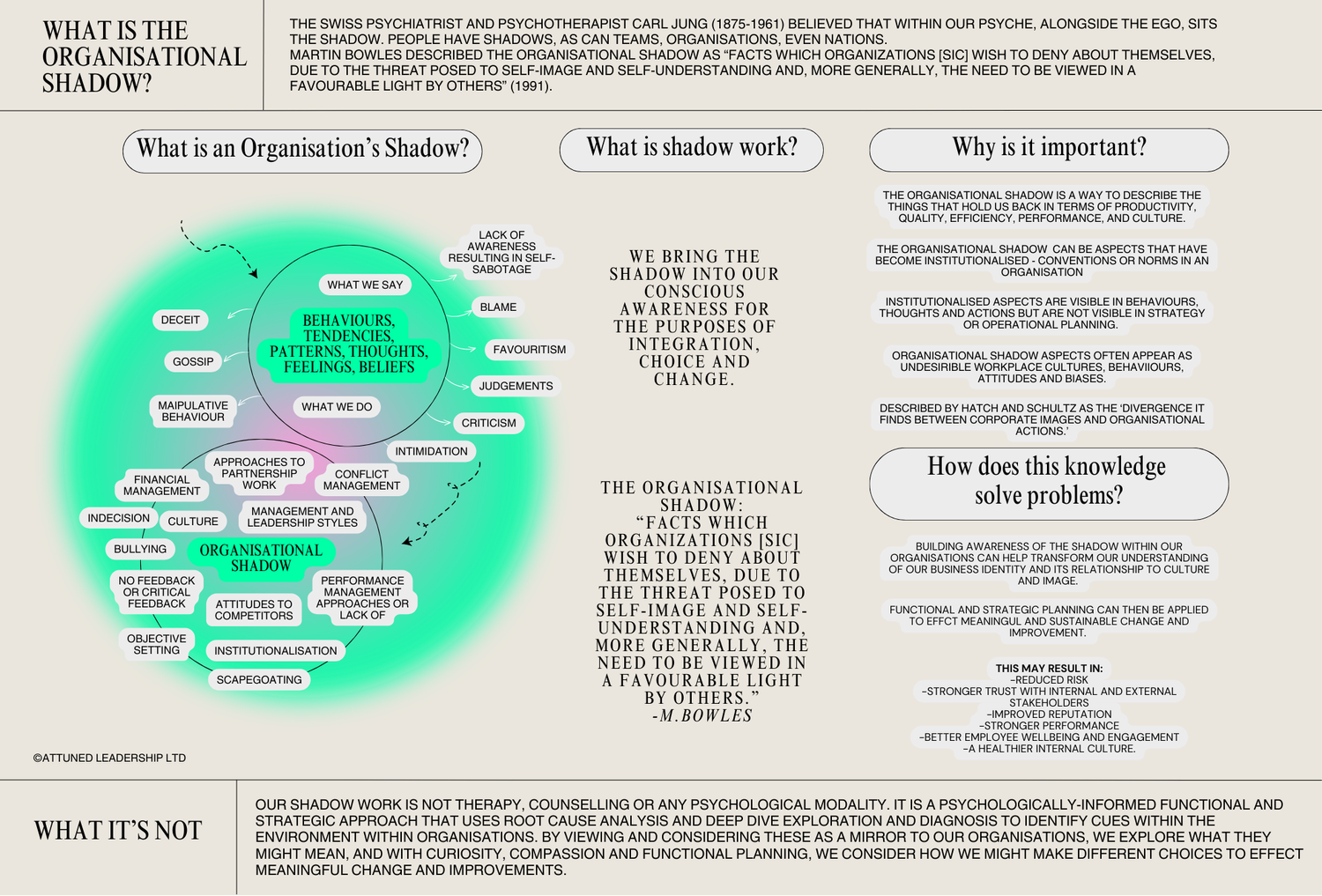 An introduction to the organisational shadow — attunedleadership