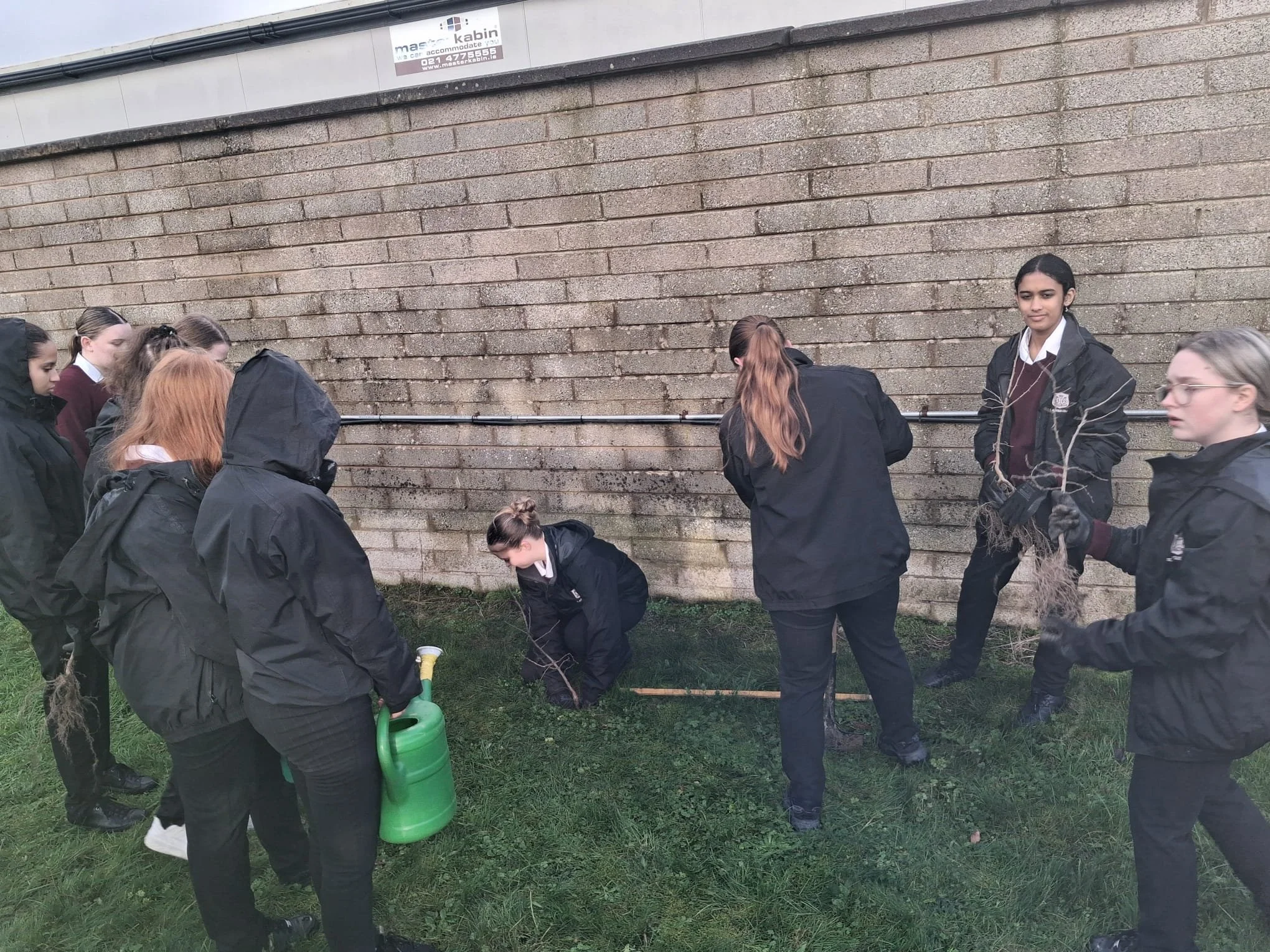 Supporting Local Biodiversity Through Native Tree Planting