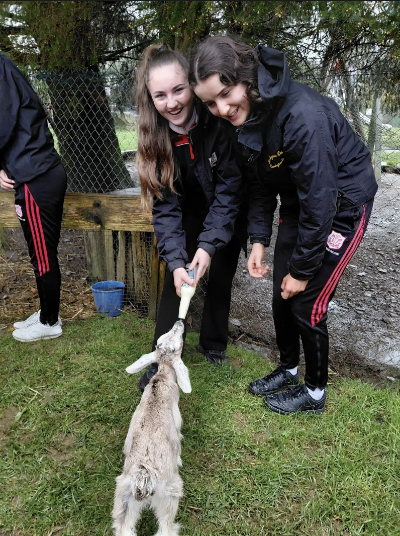 TY and Fifth Year Students Visit Top of the Rock Farm