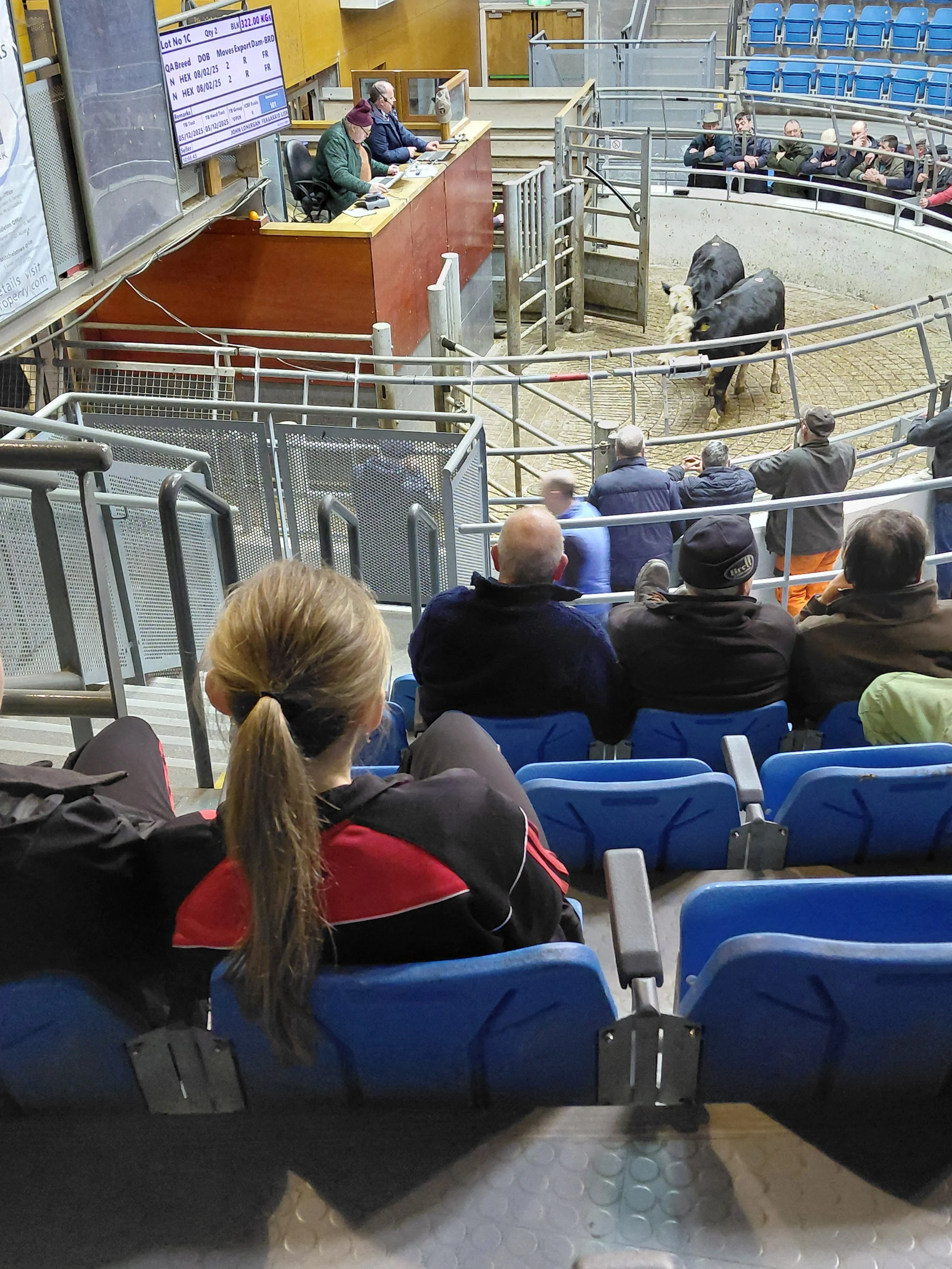 Ag. Science Trip to Corrin Mart 