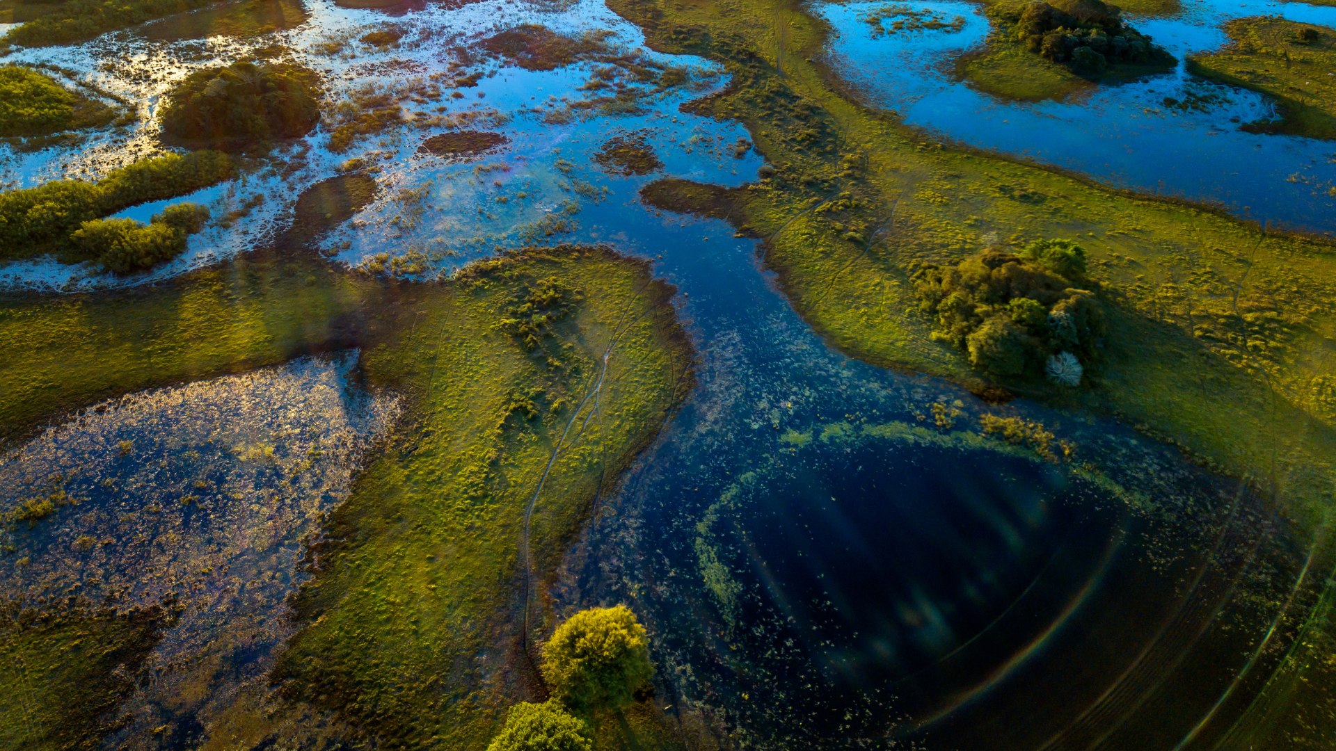 Developing a weight-of-evidence approach for persistence assessments