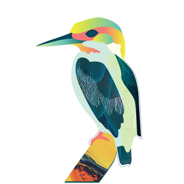 Graphic of a woodpecker in multicolour