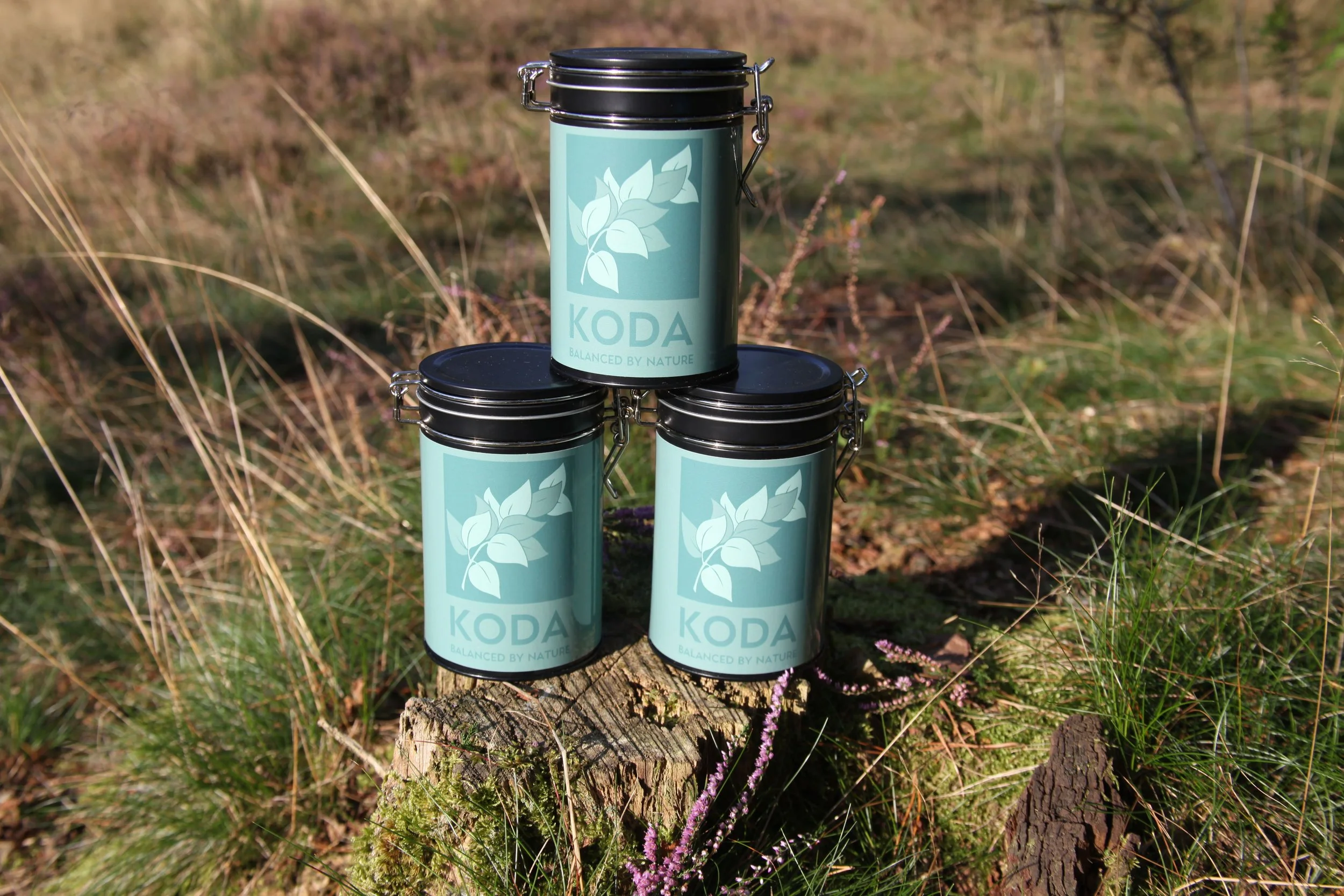 Koda Cleansing Tea