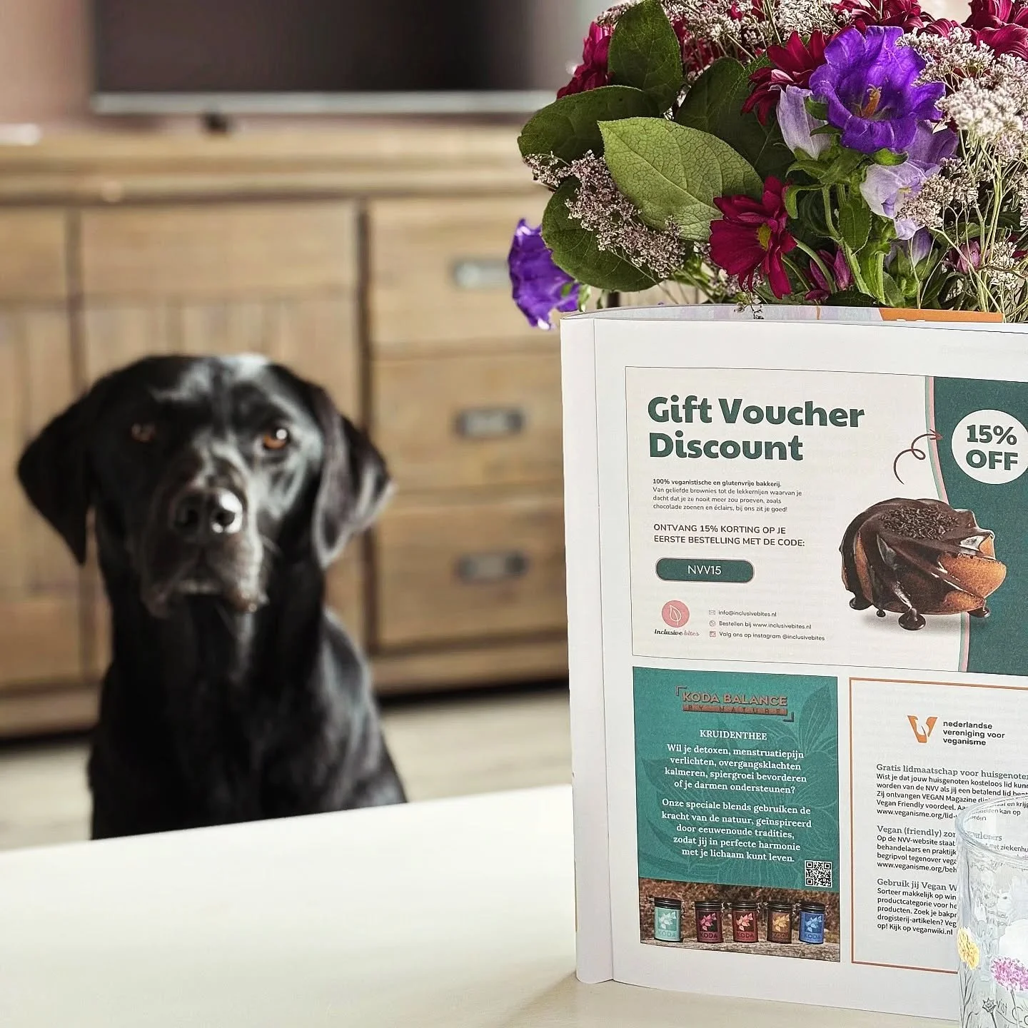 Met trots presenteren we onze nieuwe advertentie. Sitka zag &rsquo;m als eerste &mdash; spot jij &rsquo;m ook?🐾🌿