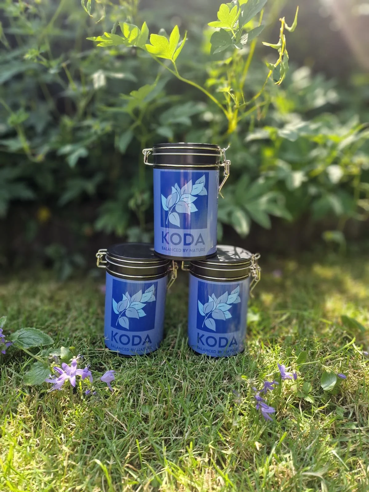 DreamLeaf Tea