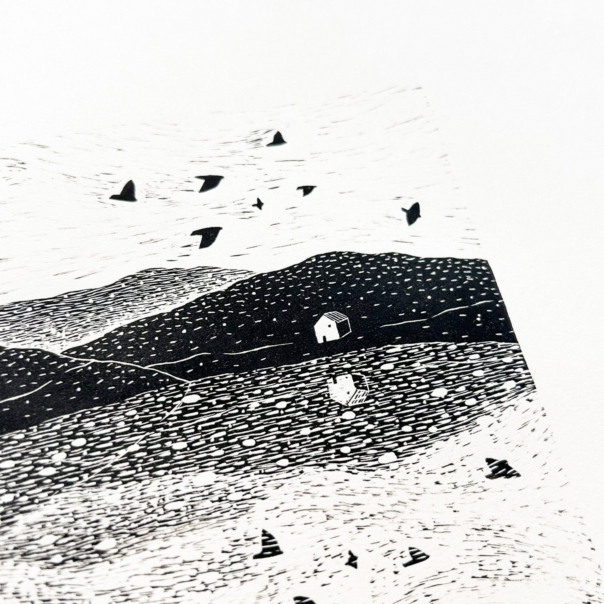 E554104A-5100-47FD-8D9C-1AEE333DDF3E_1_102_a.jpg