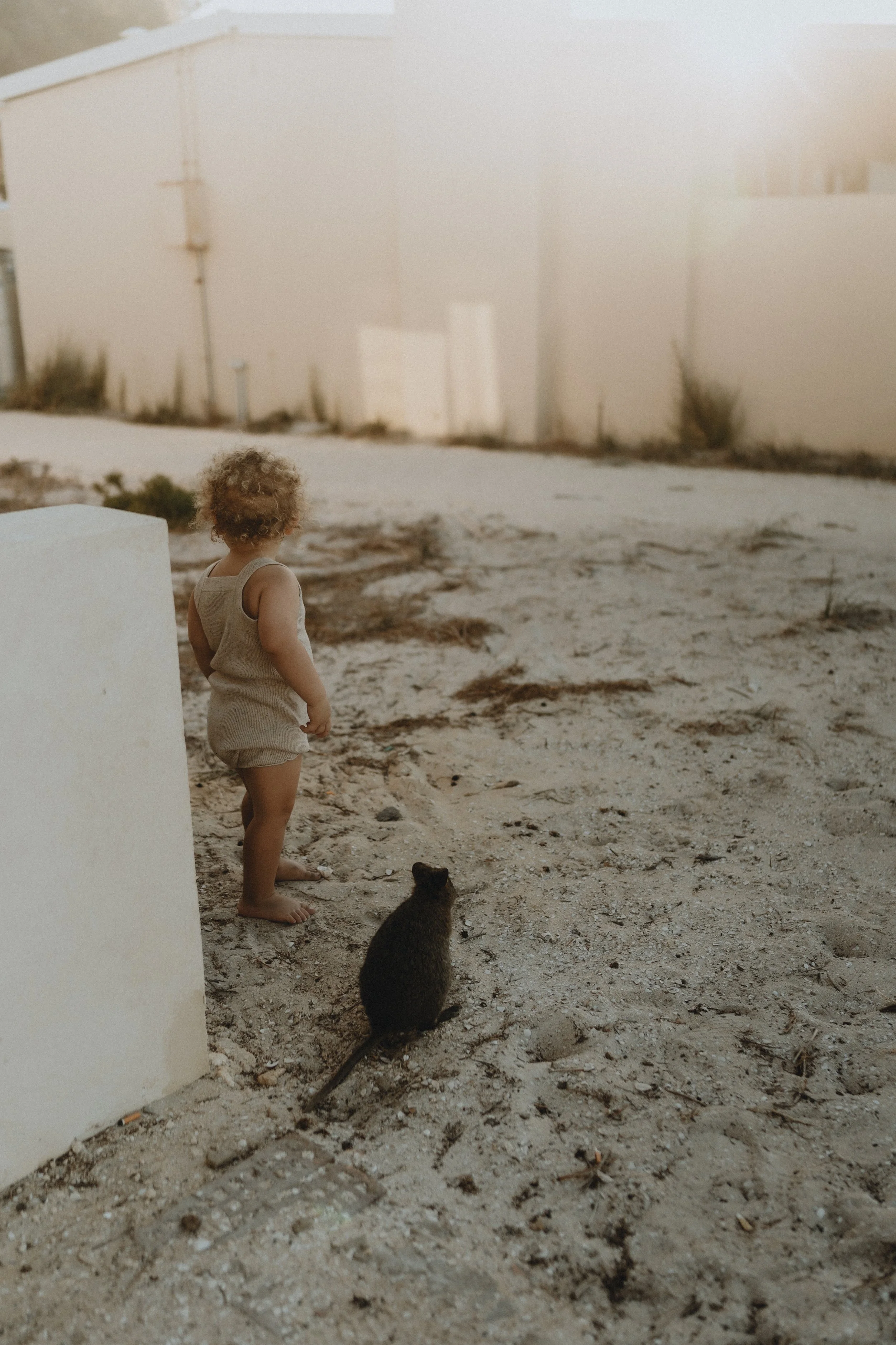 A young child standing on sandy ground next to a small animal.