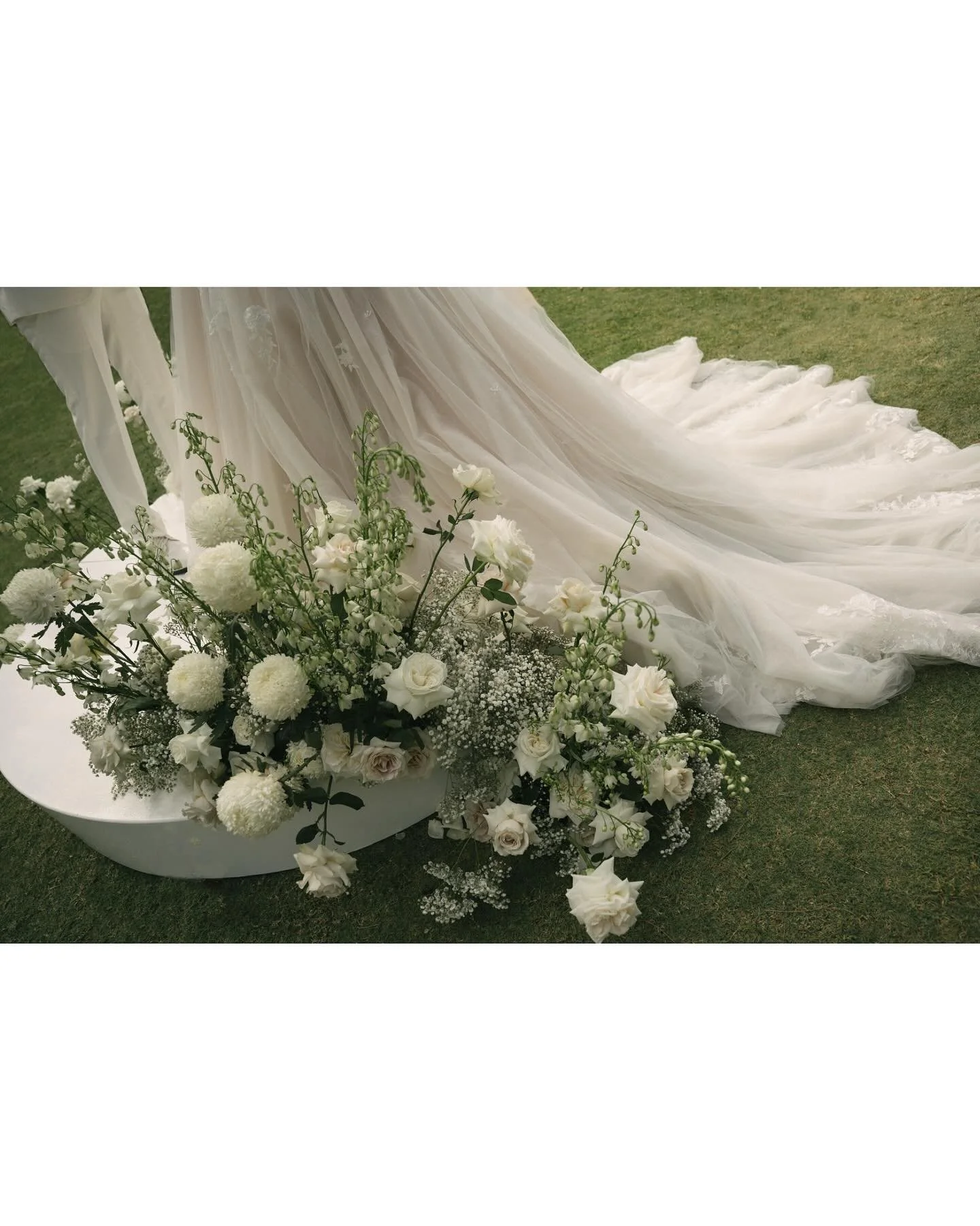 Remembering these blooms.