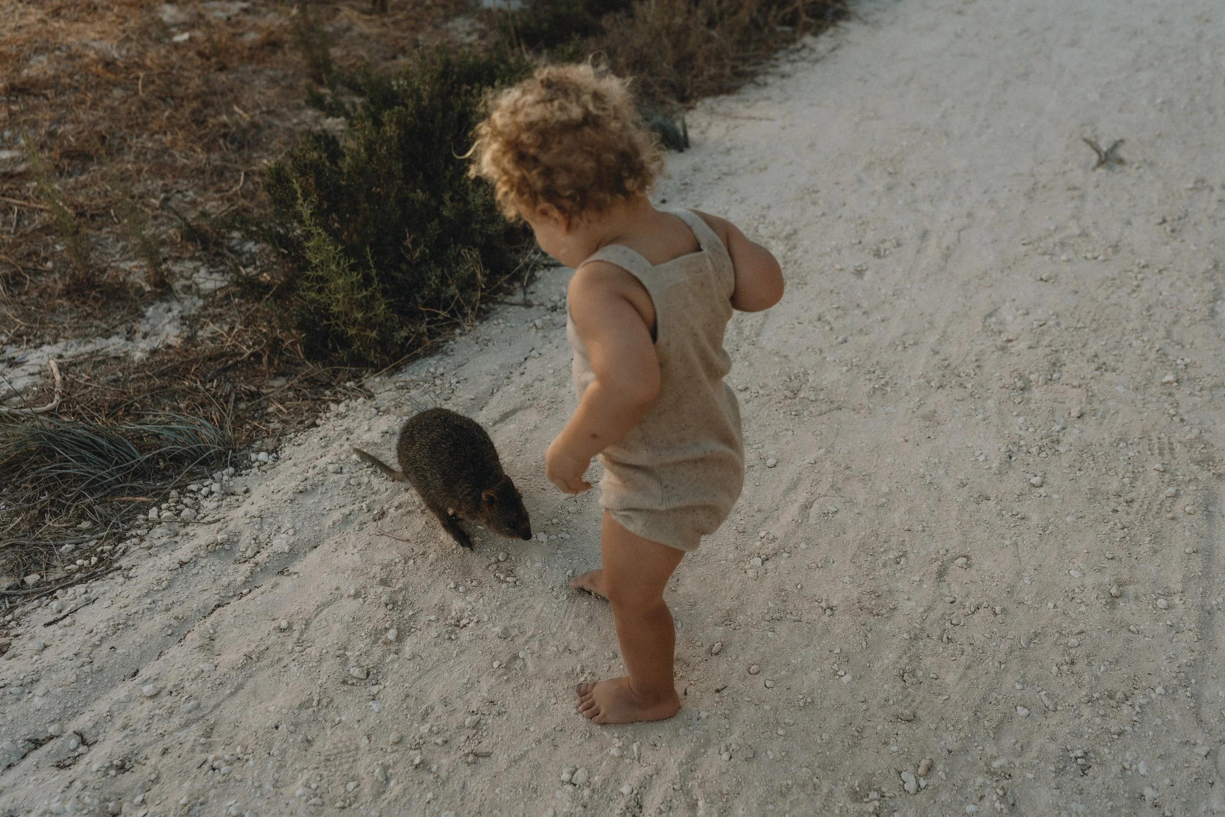 Young child in beige outfit standing on a dirt path interacting with a small furry animal.