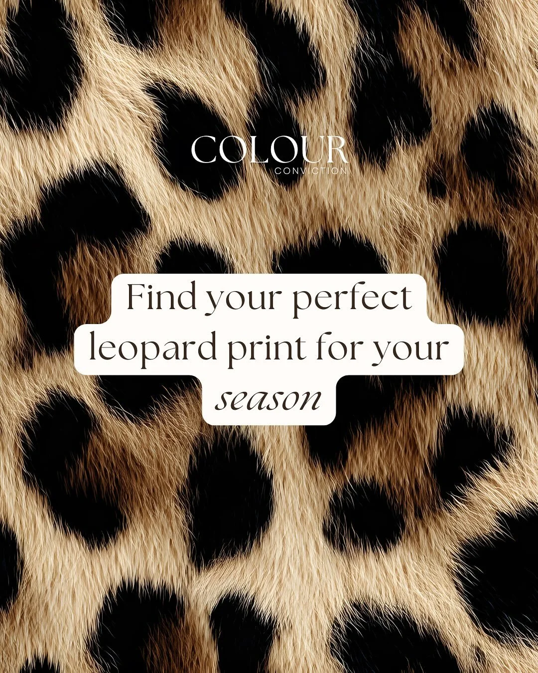 I often hear, &ldquo;I&rsquo;m a cool season&mdash;can I still wear leopard?&rdquo; 

Absolutely! Leopard prints come in all sorts of tones, and it&rsquo;s all about finding the one that complements your season. Lean into your seasonal characteristic