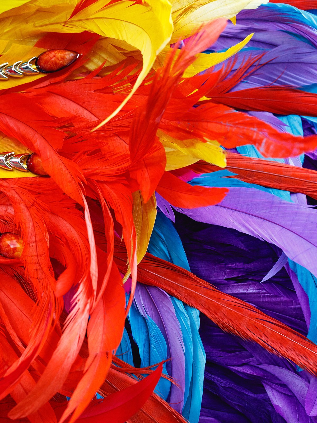 CarnivalFeathers_A1_Landscape_7.jpg