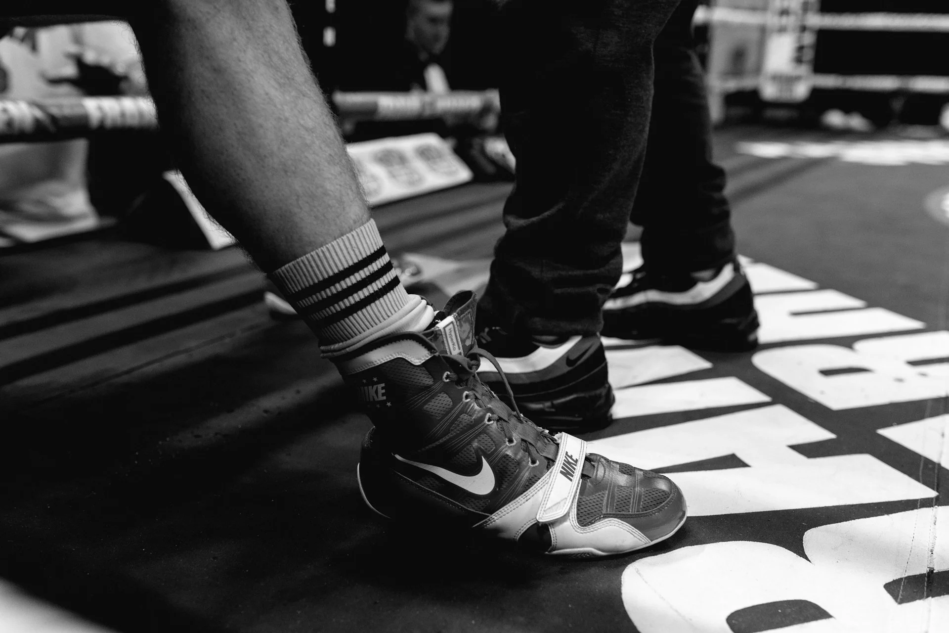 _MG_8147.jpg
