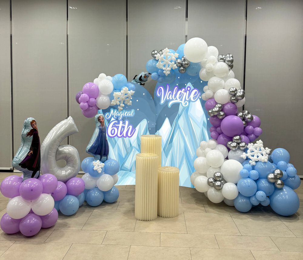Elsa+Setup+6th.webp