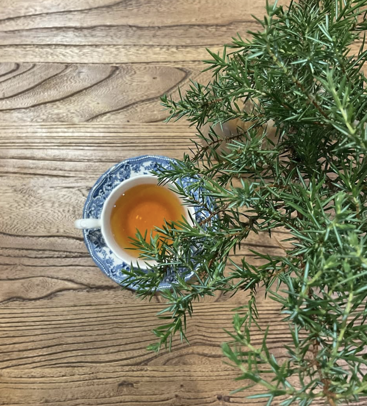 Capture d’écran 2026-02-01 à 20.21.35.png