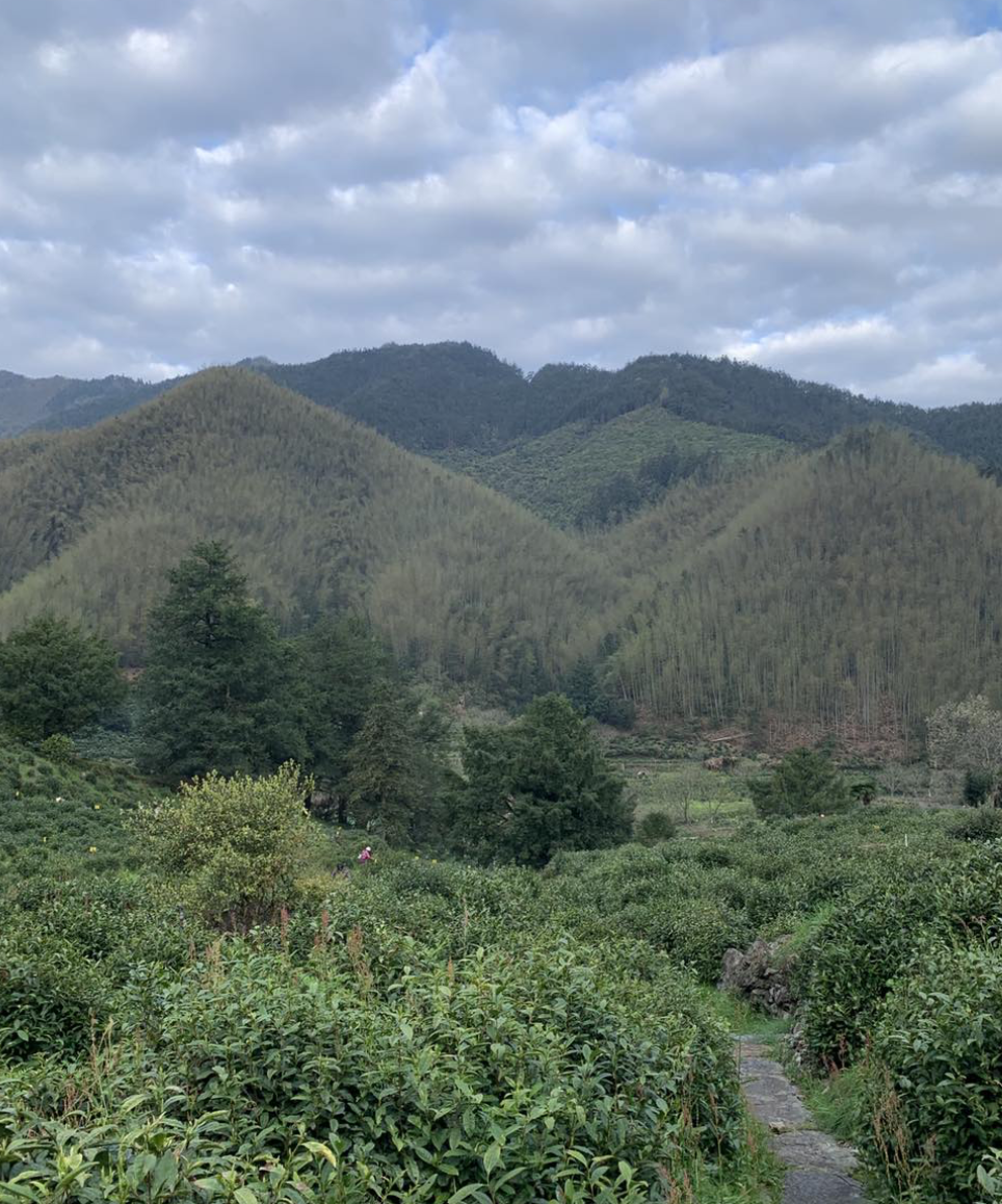 Capture d’écran 2026-02-01 à 21.14.25.png