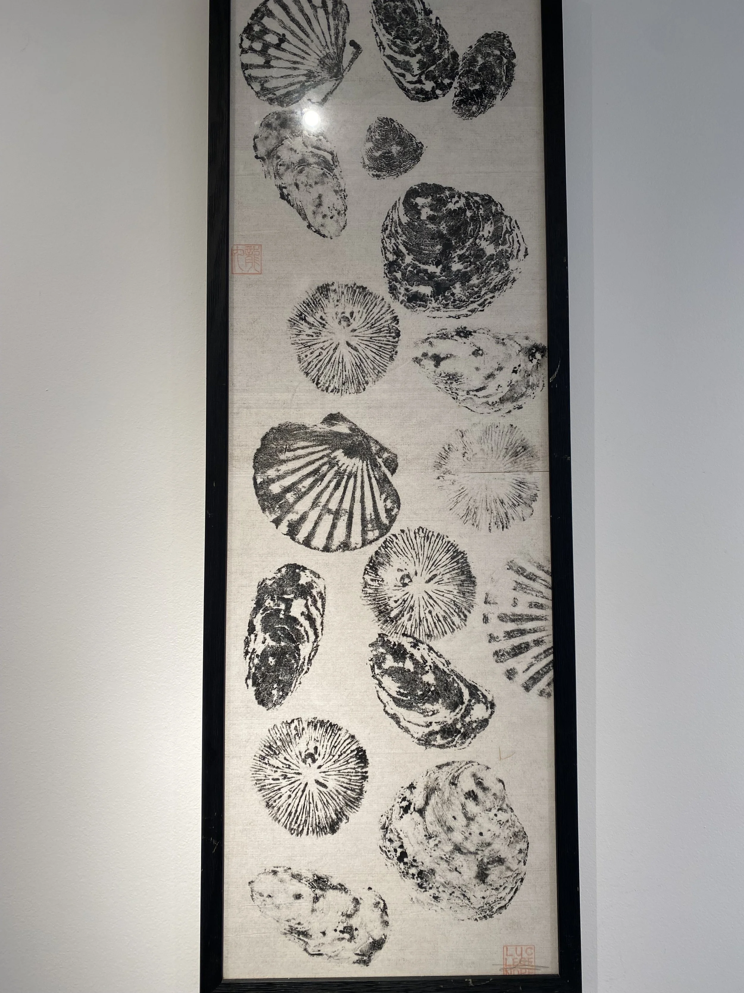 Coquillages, oursins... Virtu.ose X Luc Legendre 1.jpg