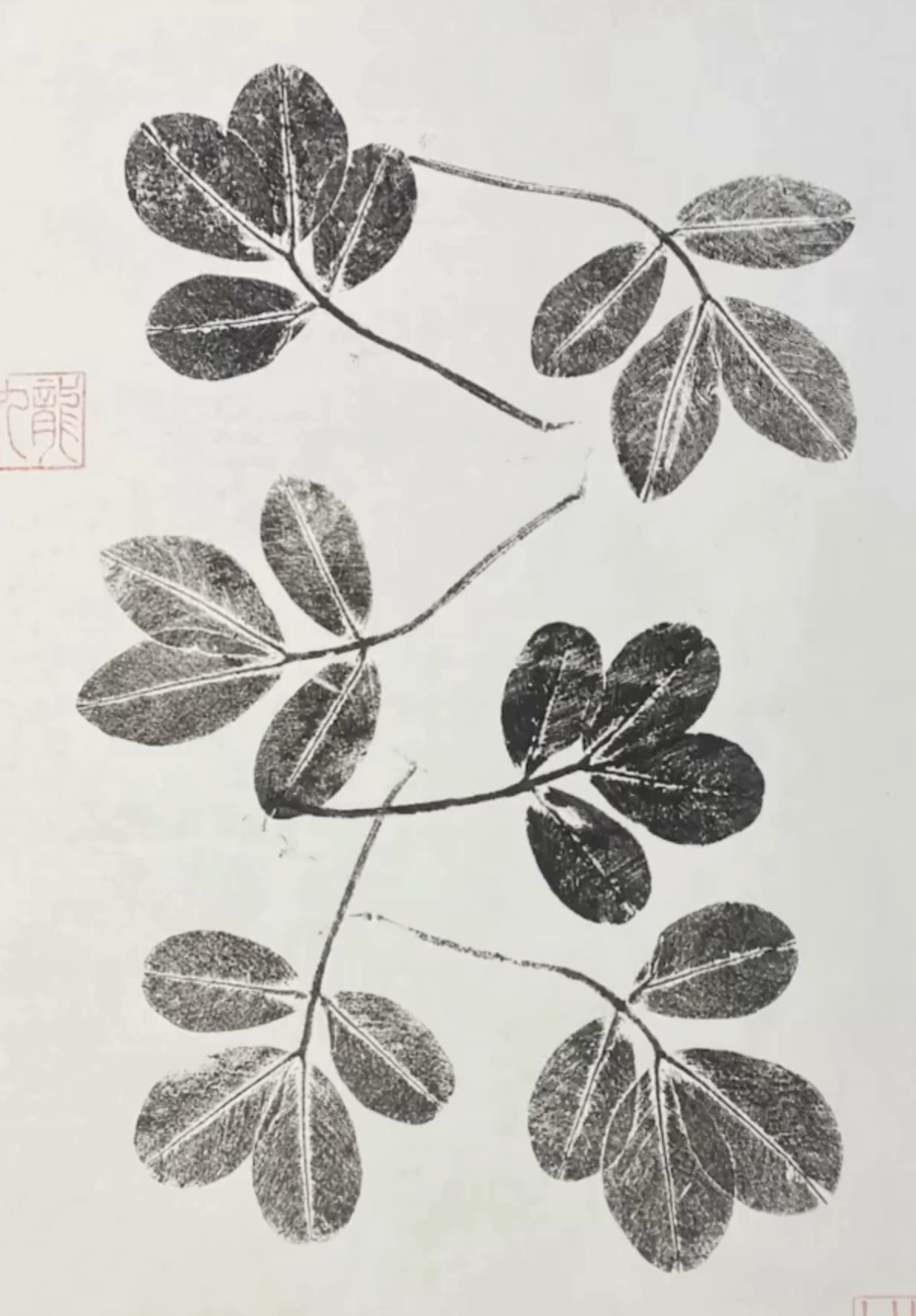 Feuilles de thé