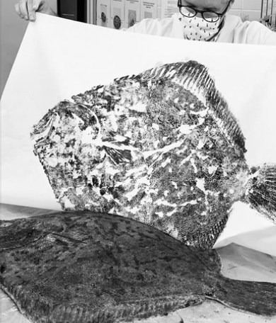 Turbot de Bretagne - Virtu.ose x Luc Legendre 1.png