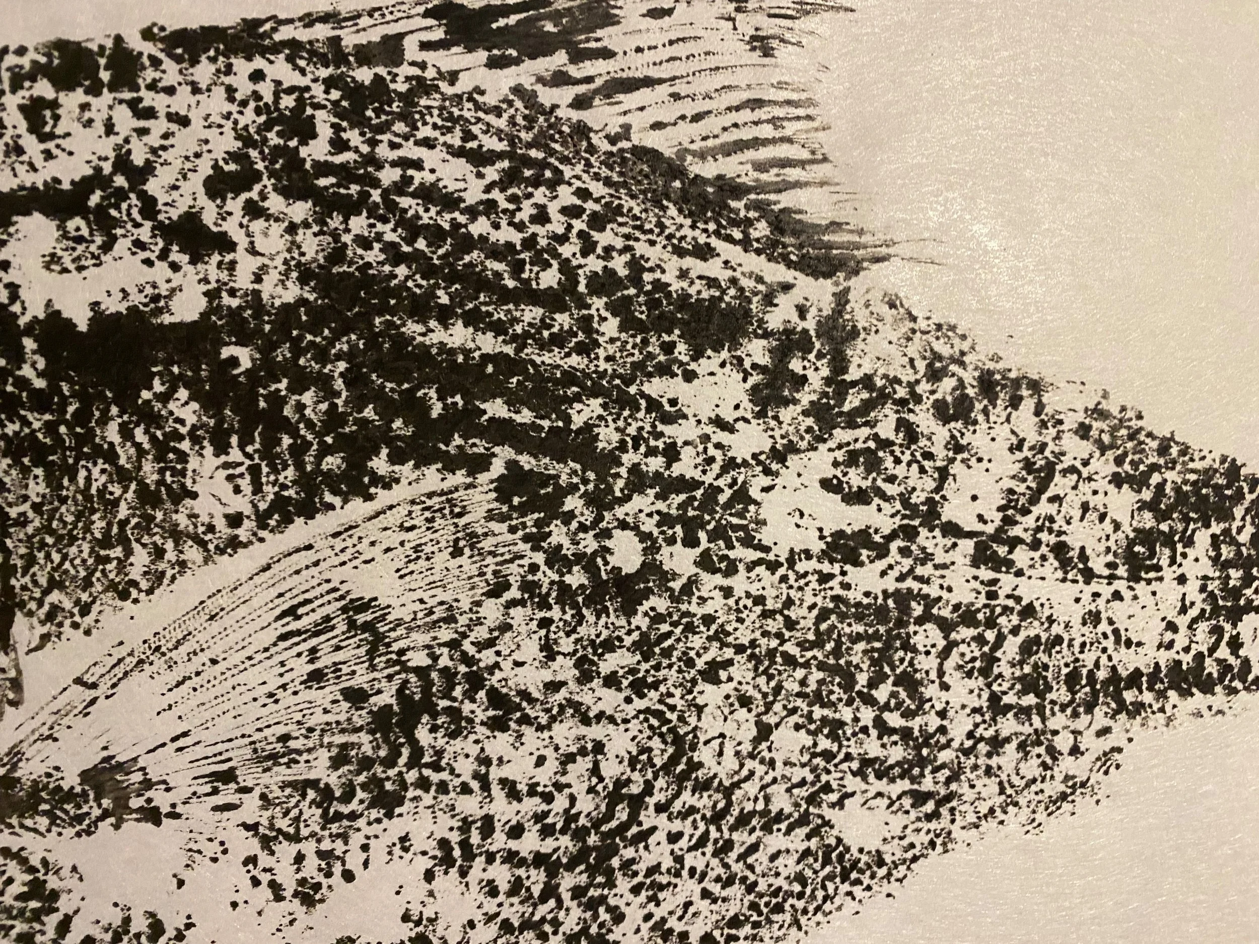 Poisson - Virtu.ose x Luc Legendre 1.jpg