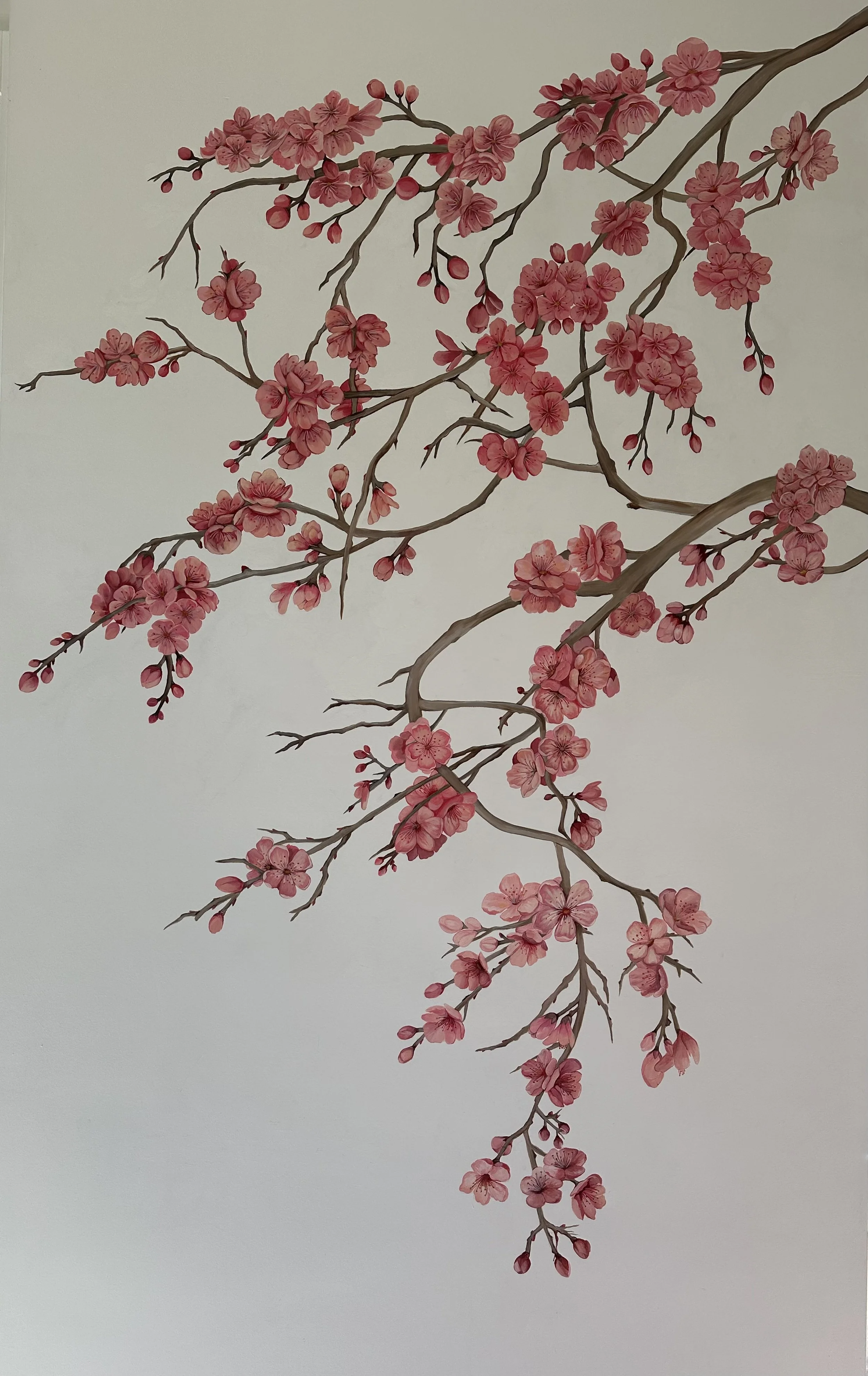 Cherry Blossoms wall mural painted directly on a living room wall