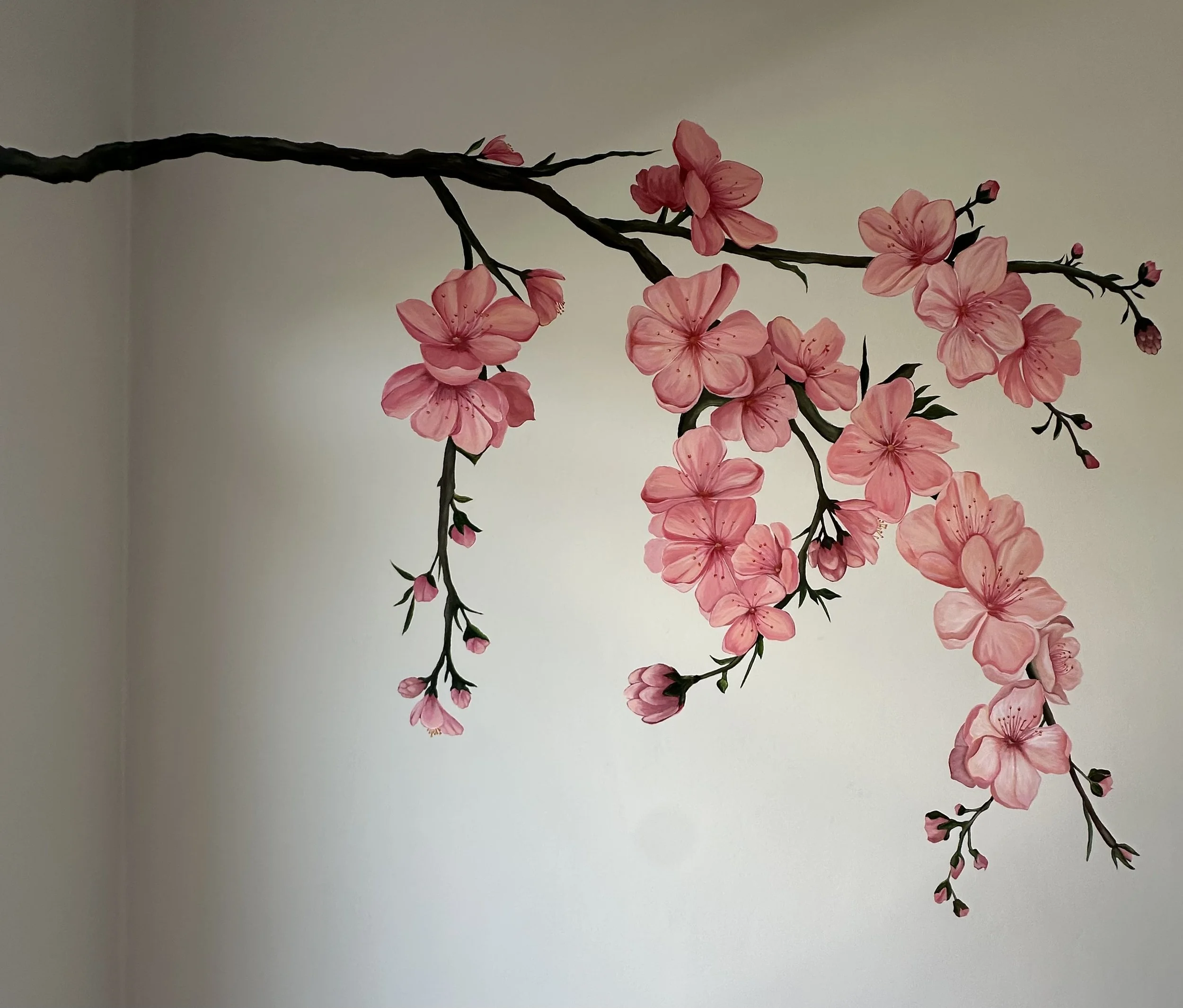 Cherry Blossoms XL Wall Mural for home office wall