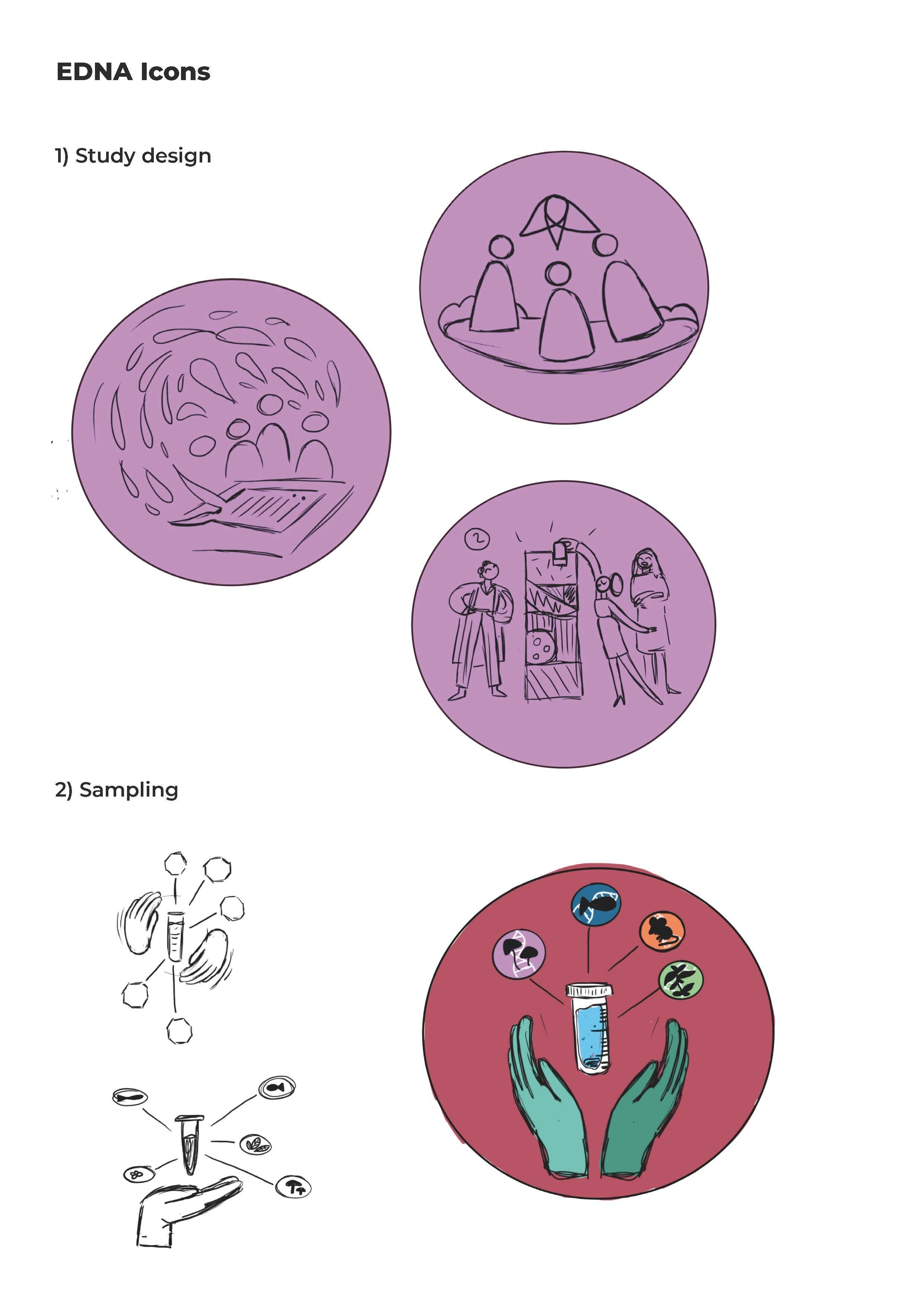EDNA_Flowchart+and+Icons_Seite_2.jpg