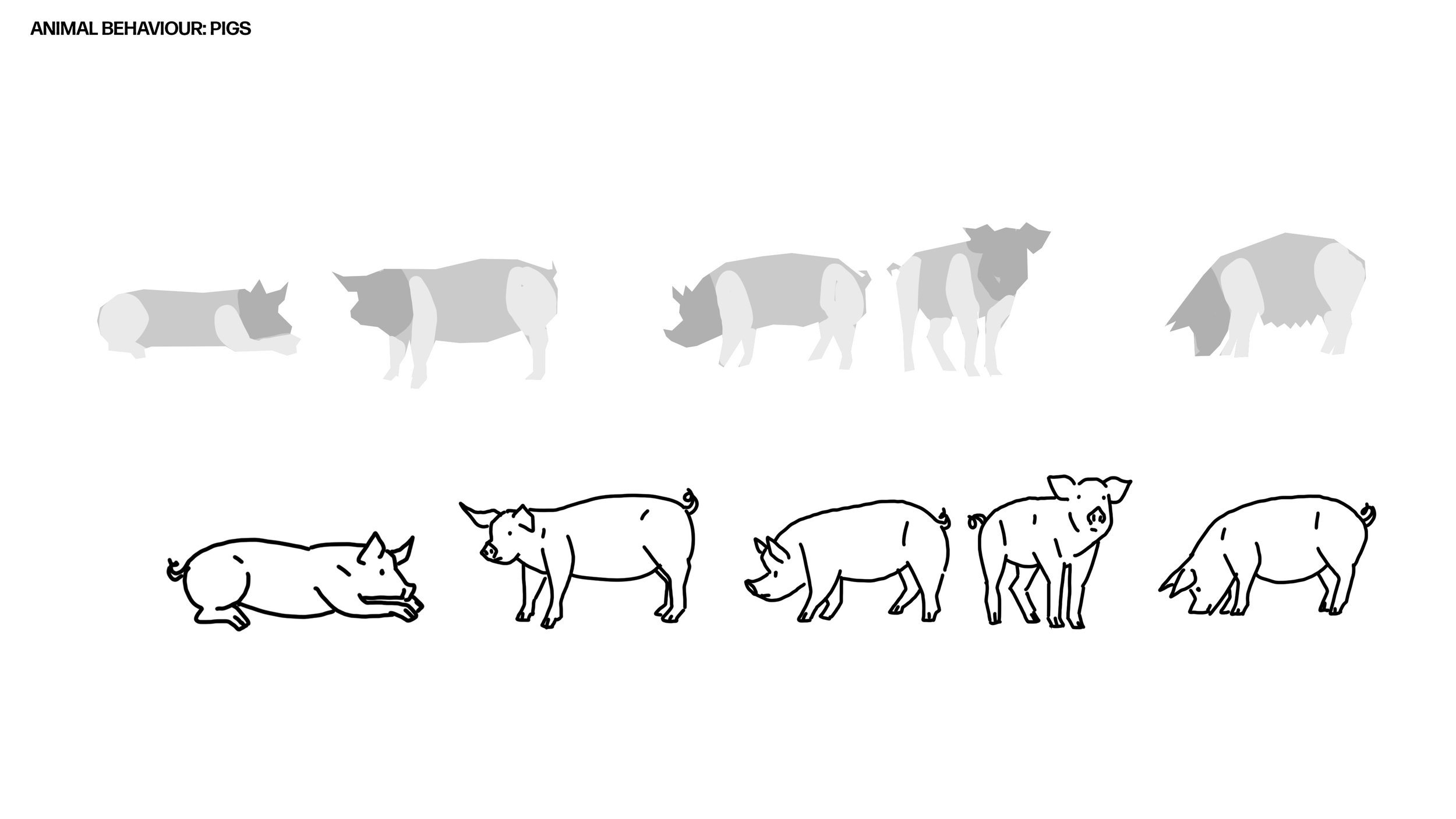 DUSYS+Animal+Behaviour_Pig_v1.jpg