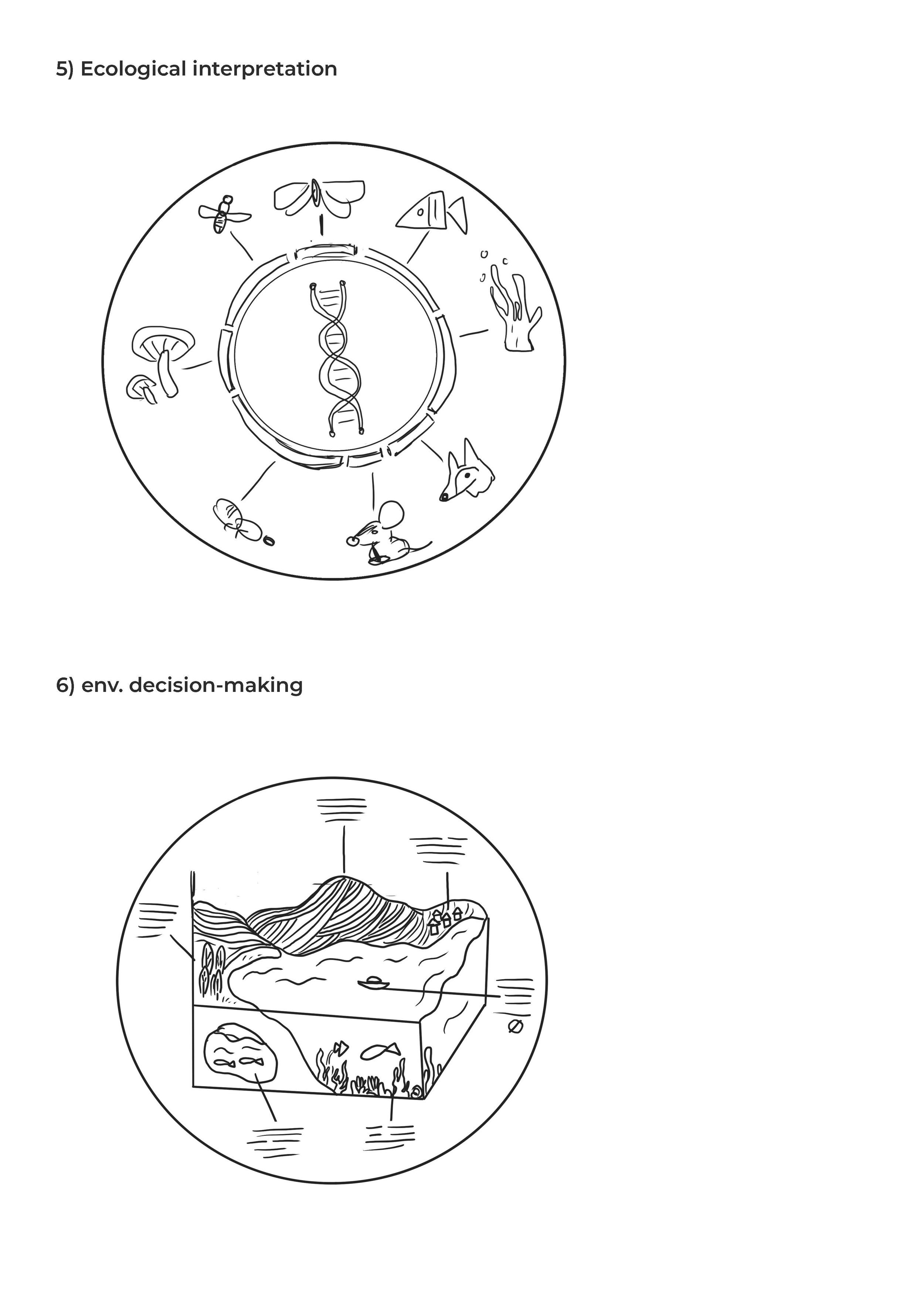EDNA_Flowchart+and+Icons_Seite_4.jpg