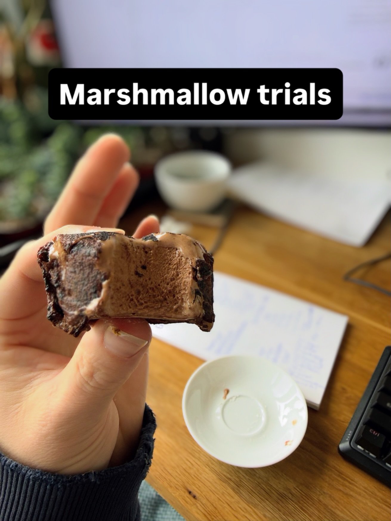 In a couple of months I&rsquo;ll be getting my home based processor license so I can share some of our delightful hand made candies with folks at the farmers market. I&rsquo;m currently doing trials on marshmallow recipes and tested out toasting this