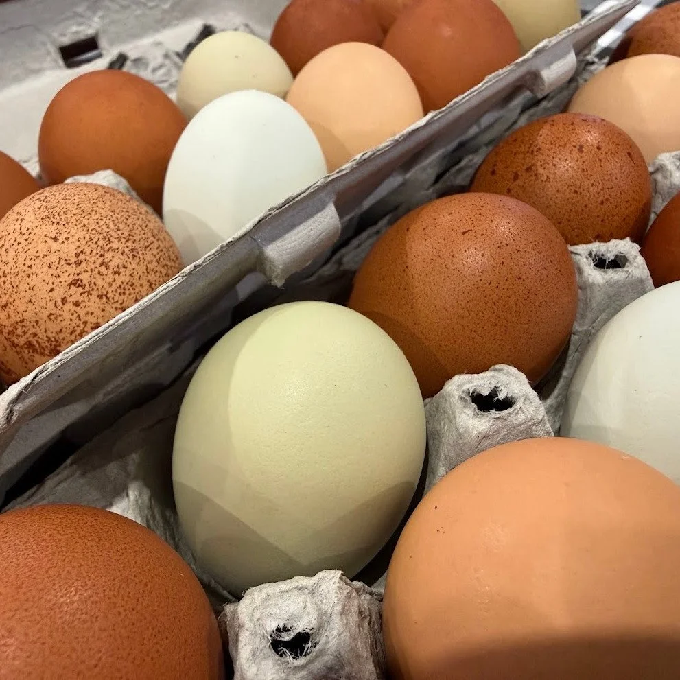 We are up to our eyeballs in eggs! Farmers Market traffic still hasn&rsquo;t picked up for the season but our pastured, organically fed hens didn&rsquo;t get the memo and they&rsquo;ve been laying eggs like it&rsquo;s going out of style! 
Pastured eg
