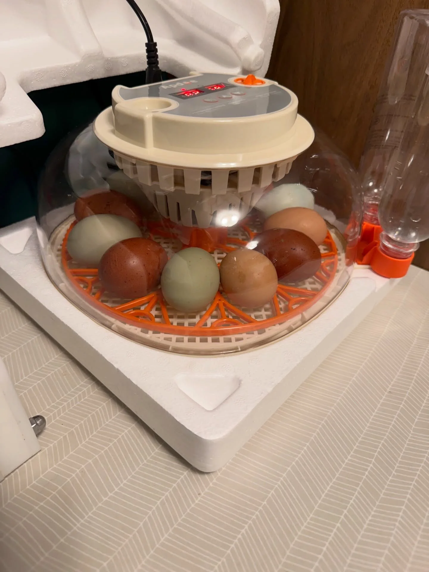 My week in photos. 
(1)Eggs dropped in incubator. In about 6 months we will know if the olive egg experiment is beginning to pan out. 
(2) I&rsquo;m smitten with our egg baskets right now. The combo of colors is 🤌
(3)  Barn clean out time, excited f
