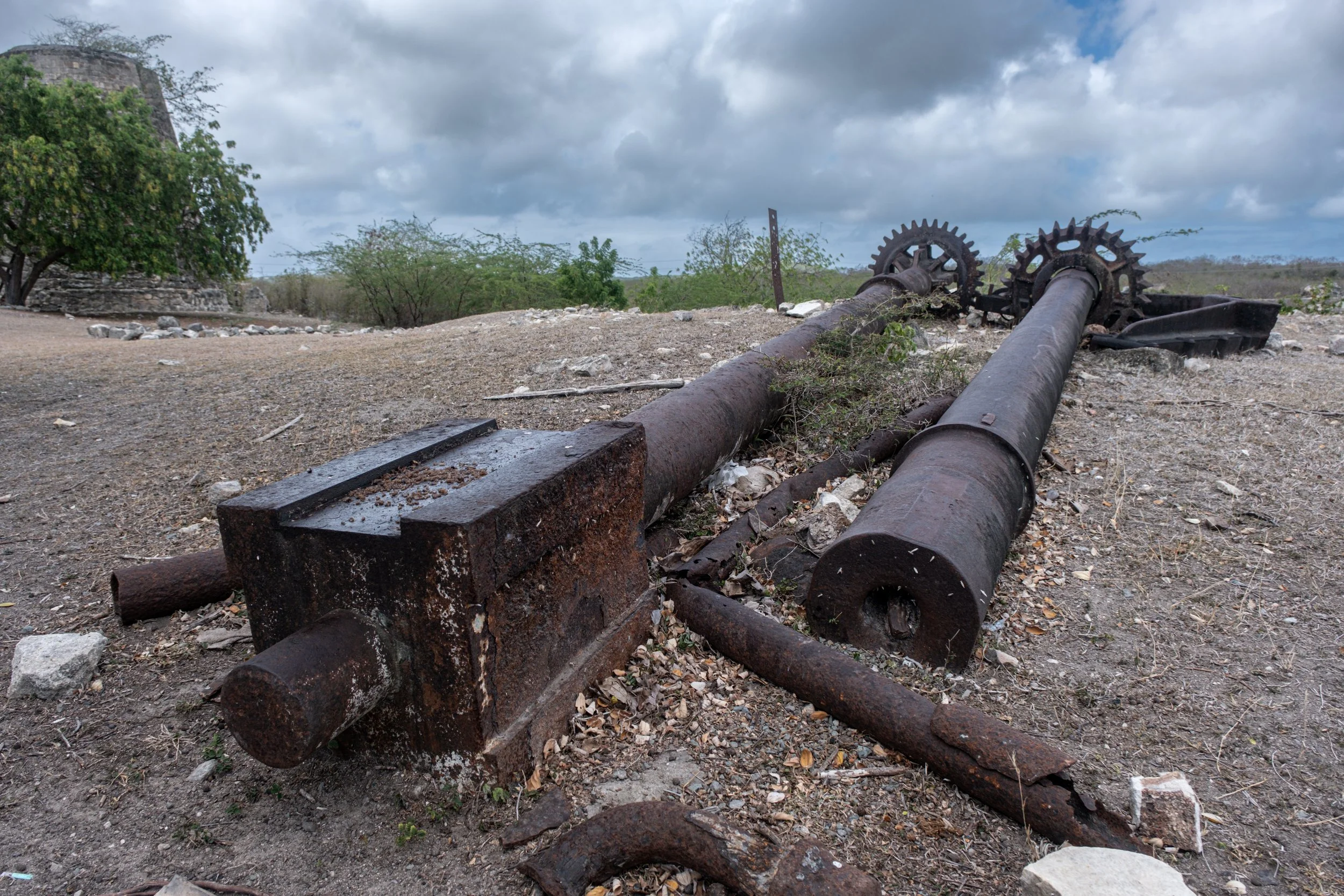 Old shafts that moved the sugarcane crushing rollers inside the windmills 