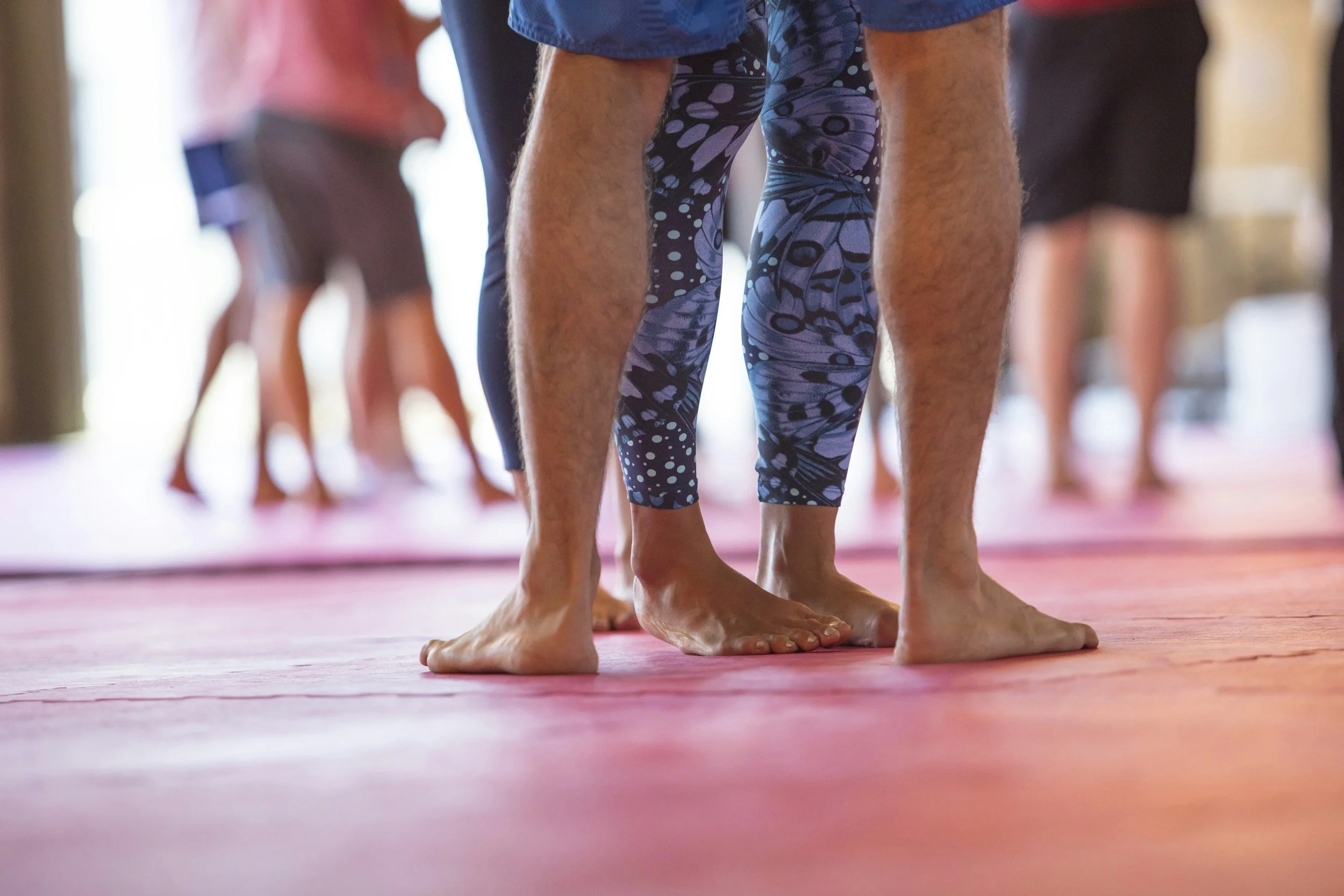 Gentle Yoga for All Bodies NEW  