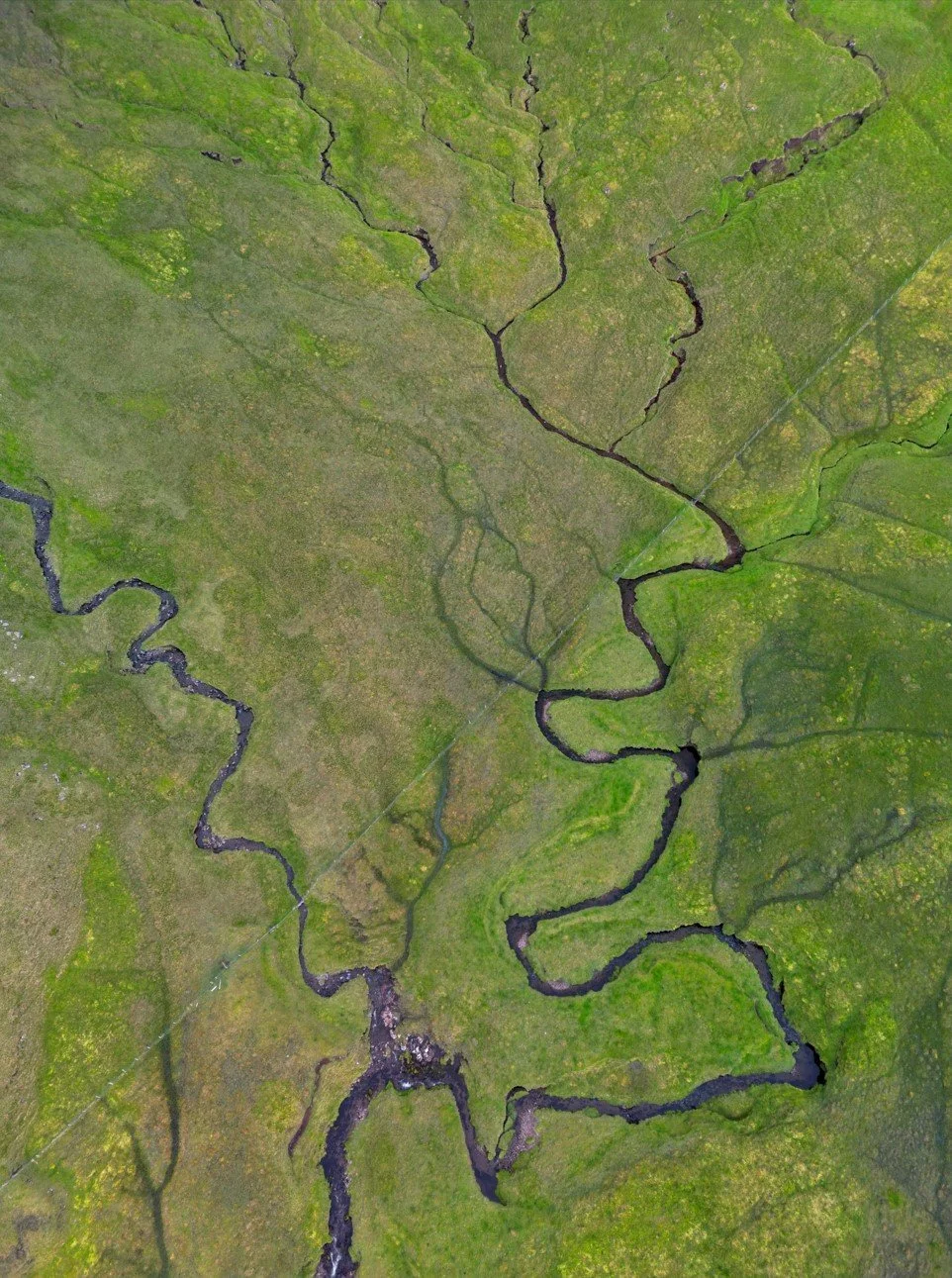 drone screenshot.jpg