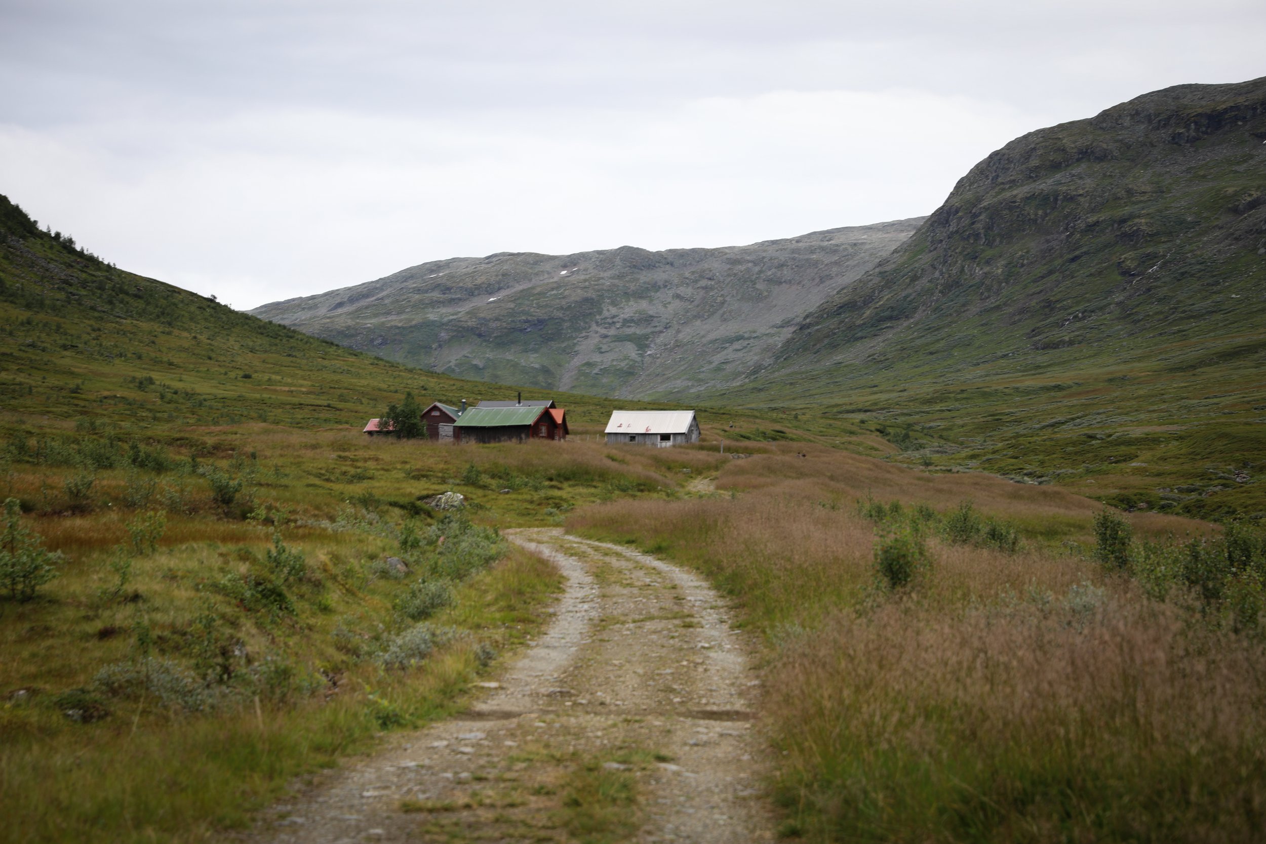 bakkanosi hike trail.jpg