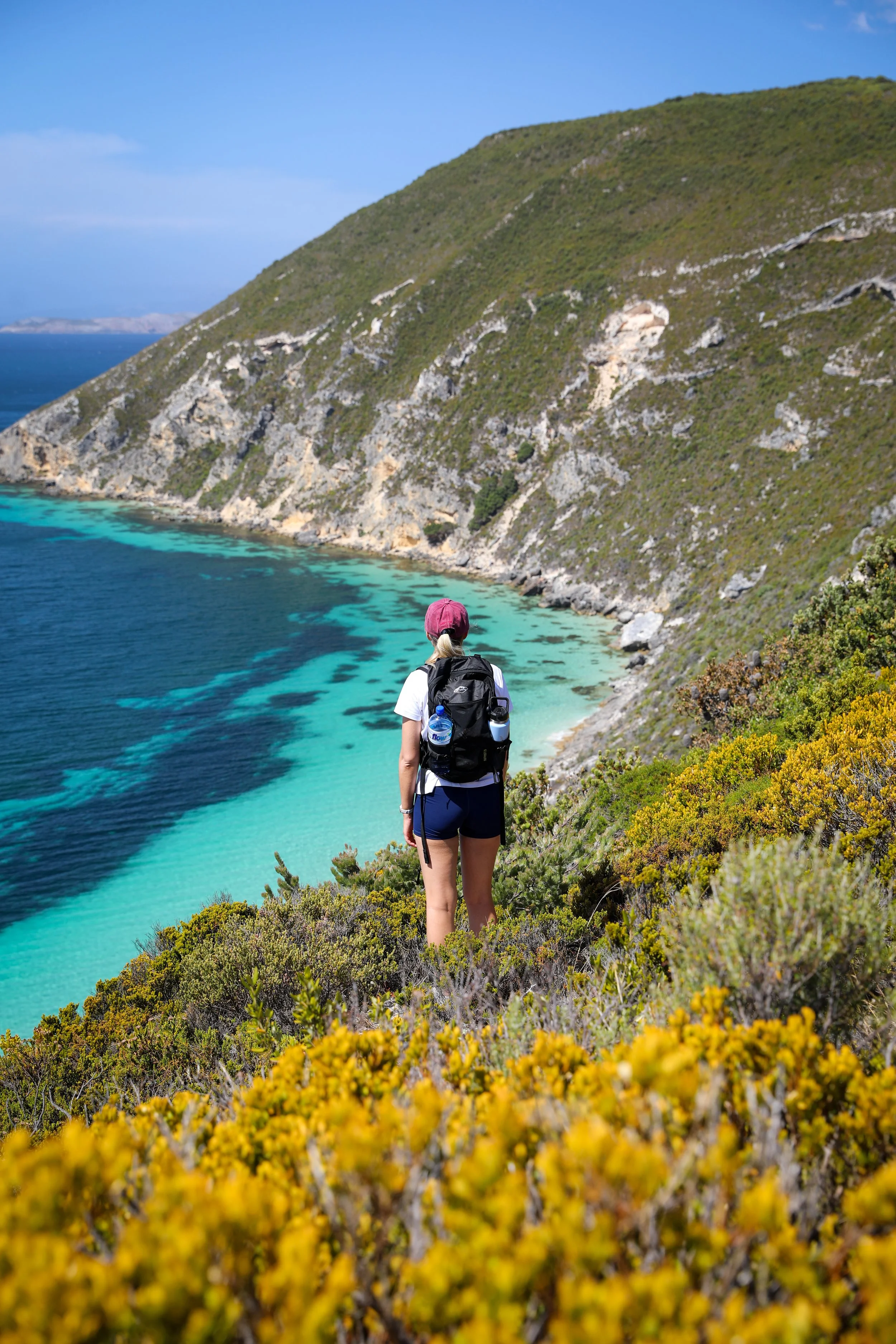 hiking woman albany trail.jpg