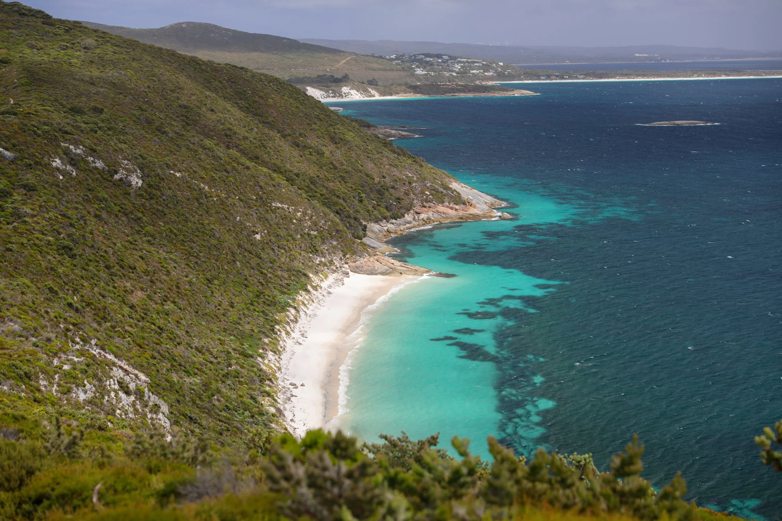 bald head hike albany.jpg