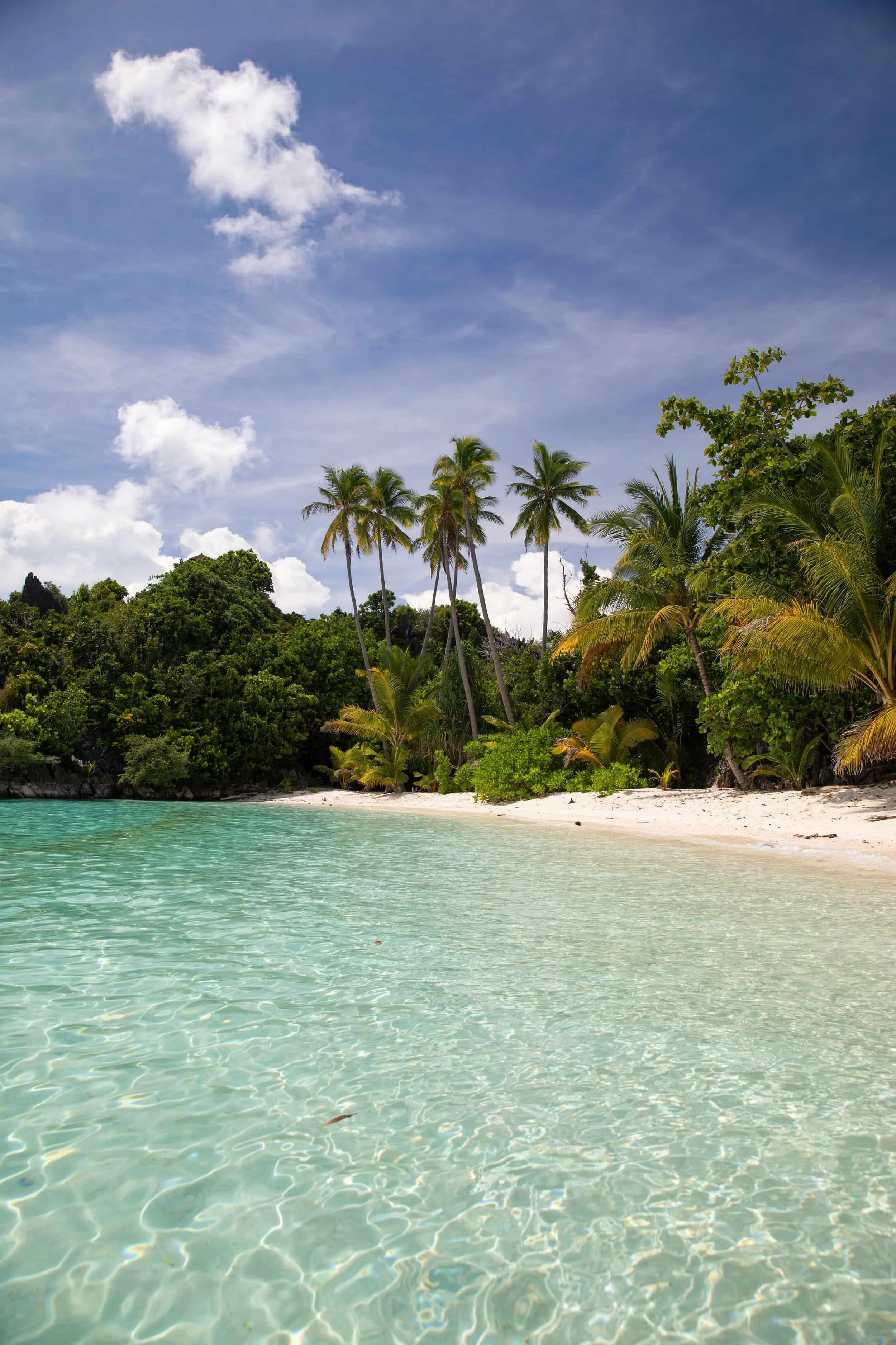 Kalig_beach_ocean_compressed.jpg