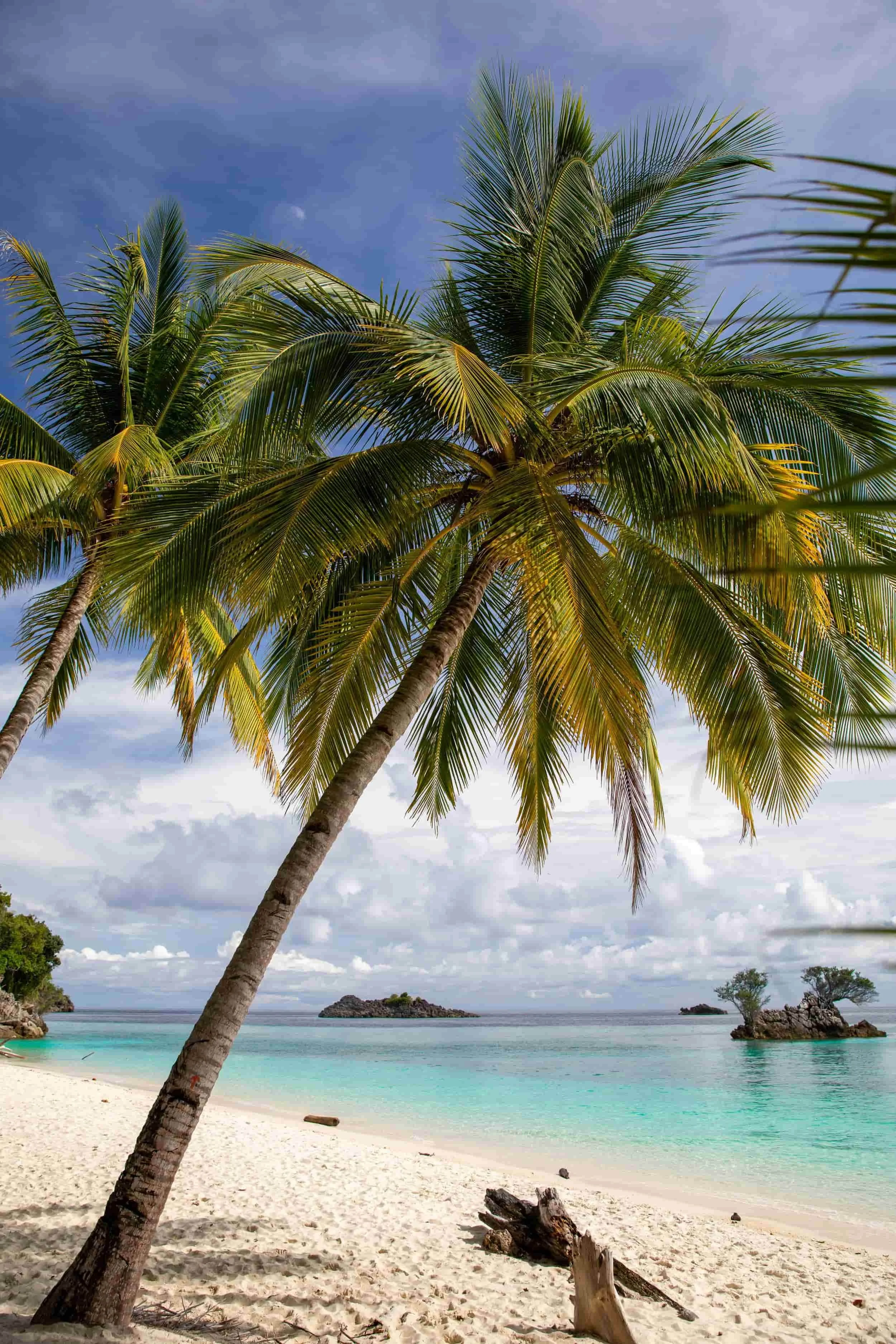 Kalig_beach_raja_ampat_misool_compressed (1).jpg