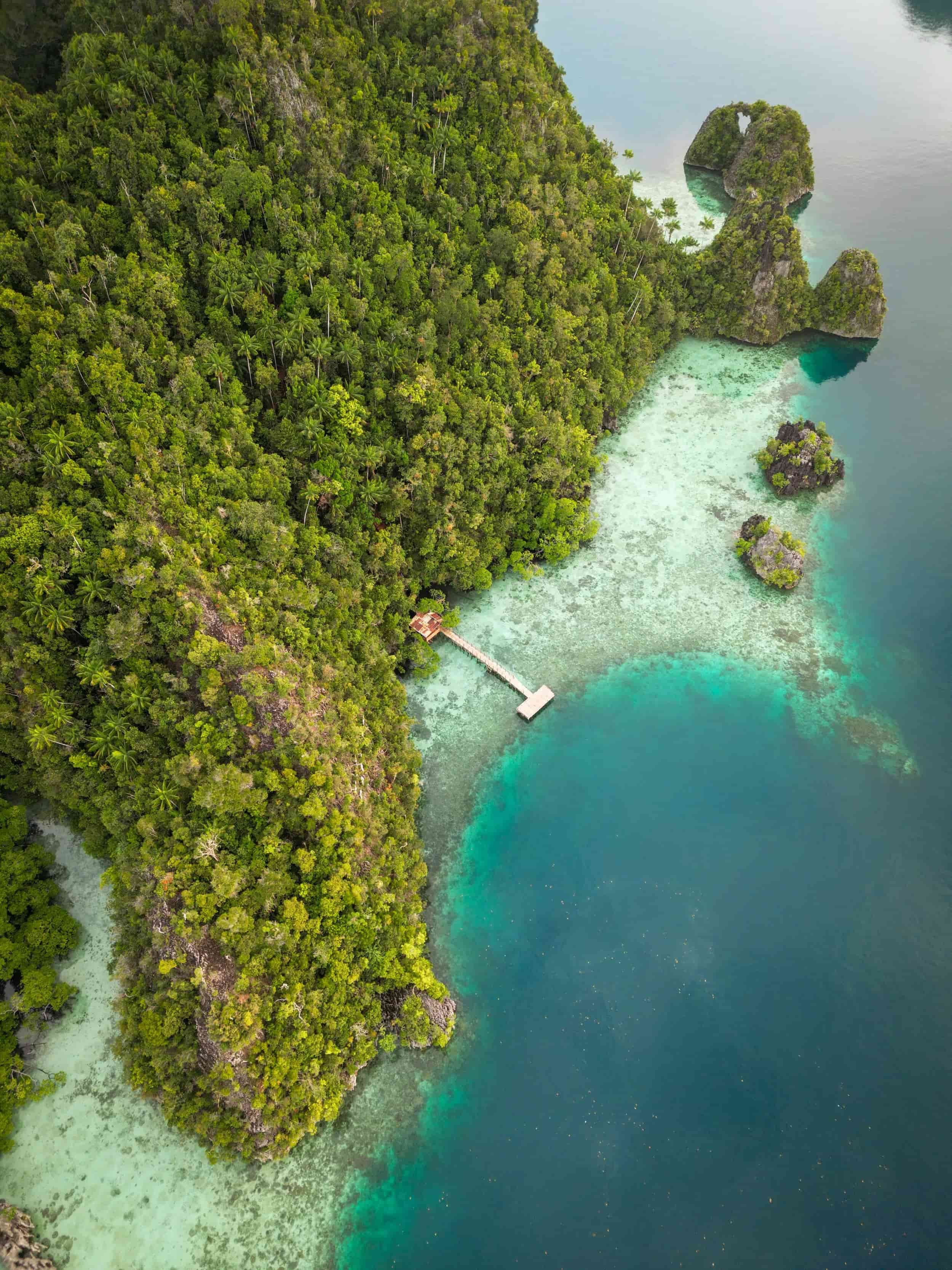 raja_ampat_compressed (1).jpg
