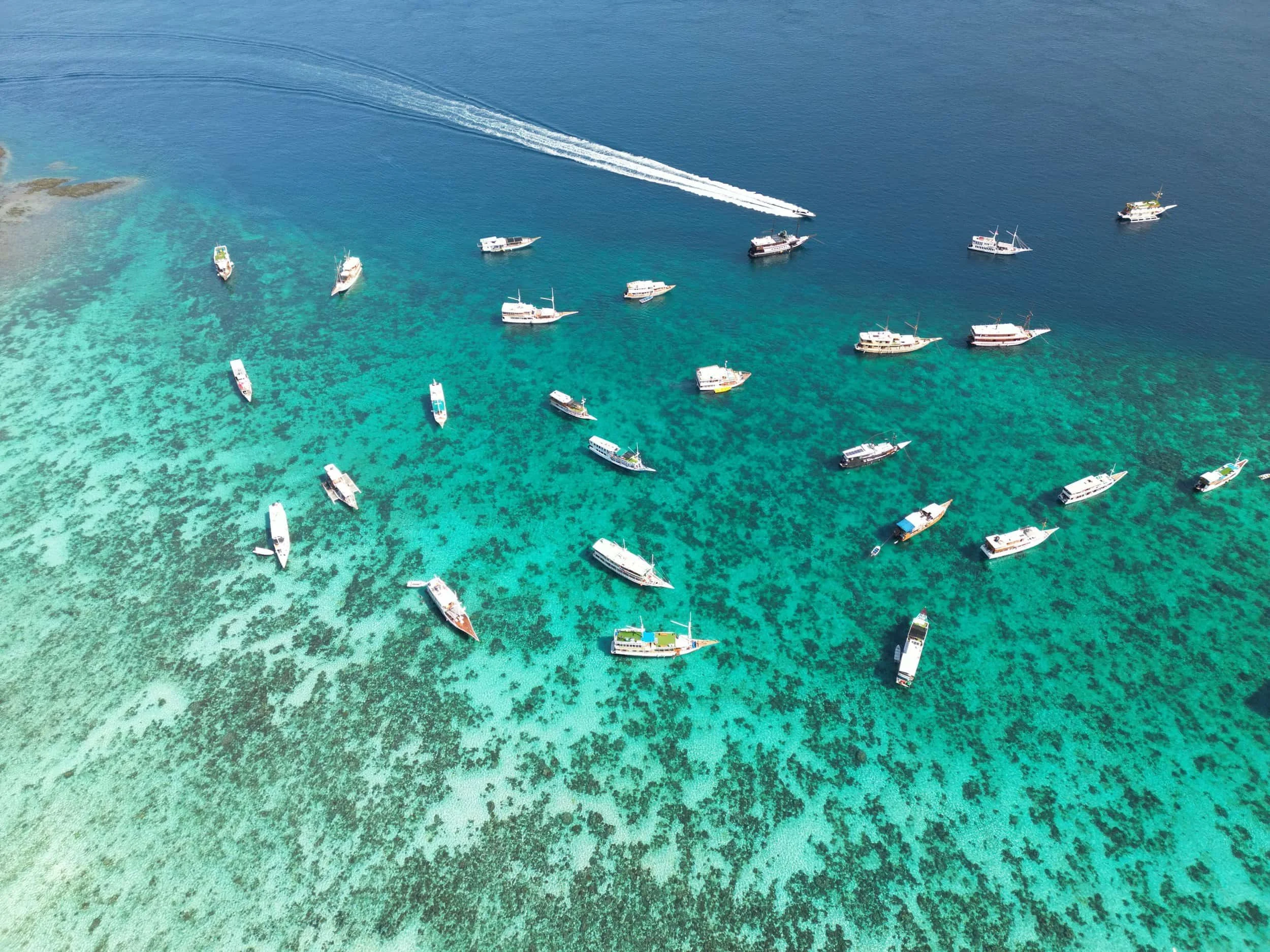 Komodo+Islands+Pink+Beach+compressed_compressed.jpg
